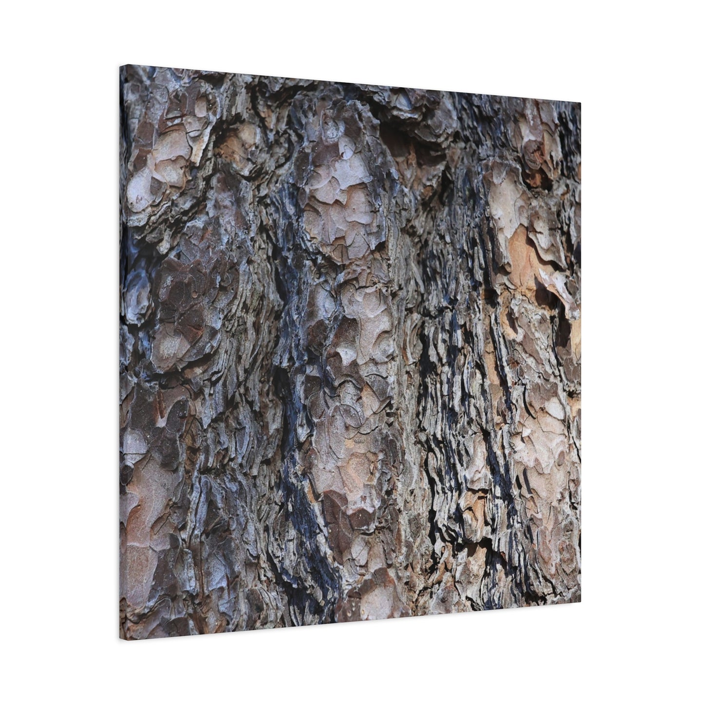 Bark's Rugged Symphony - Unique Frameless Canvas Wall Art