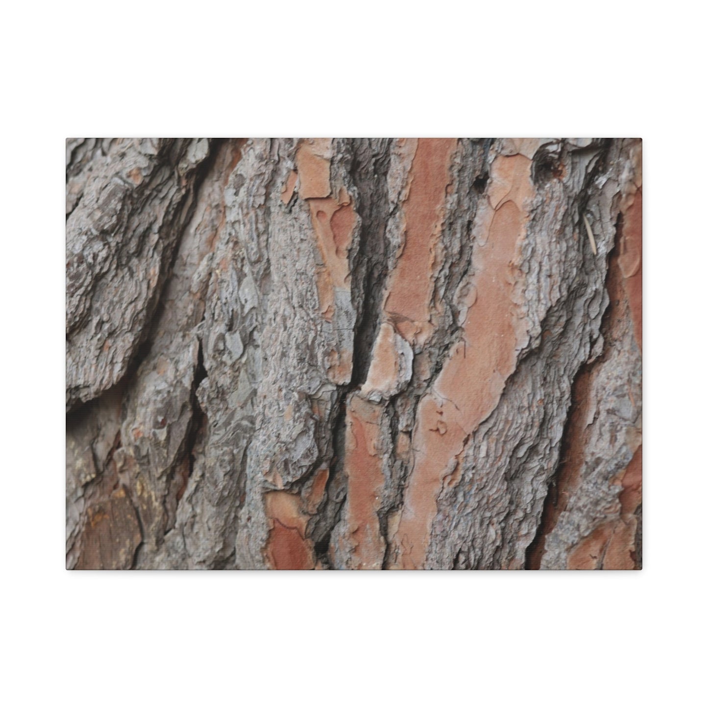 Fractal Landscape - Unique Frameless Canvas Wall Art