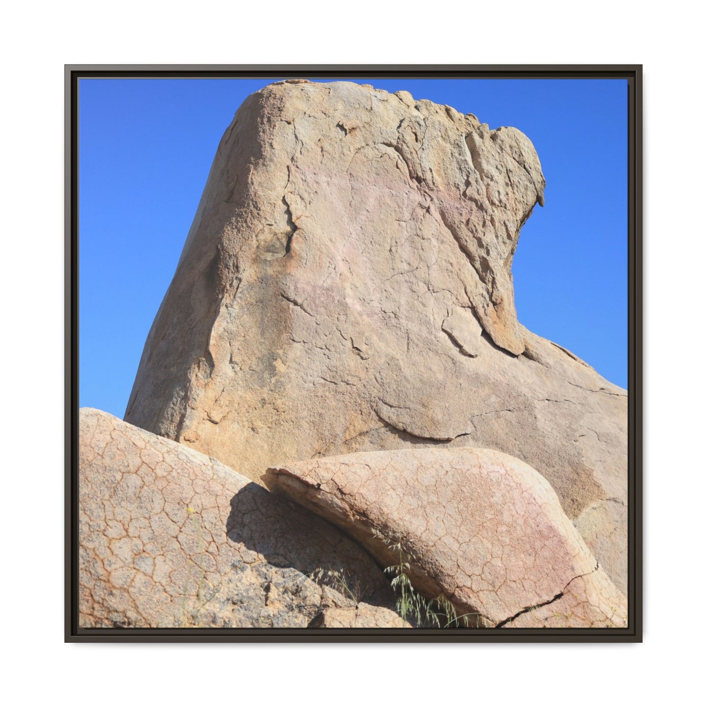 Rocky Sentinel - Unique Stretched Canvas Wall Art