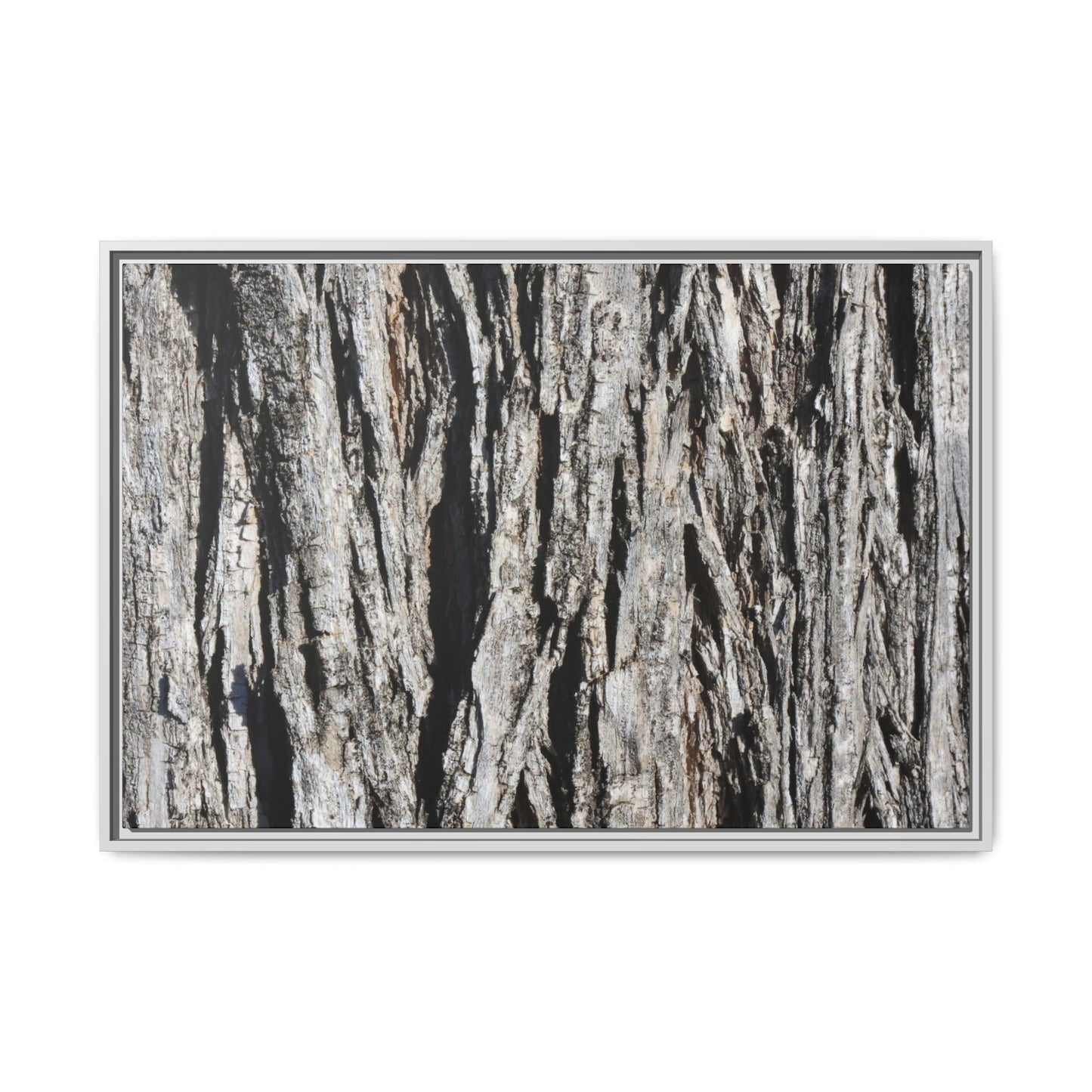 Bark Lines - Unique Stretched Canvas Wall Art