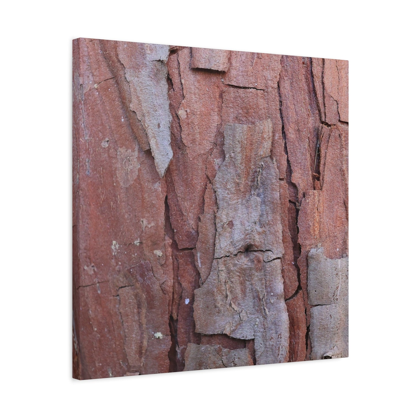 Fractal Rust - Unique Frameless Canvas Wall Art