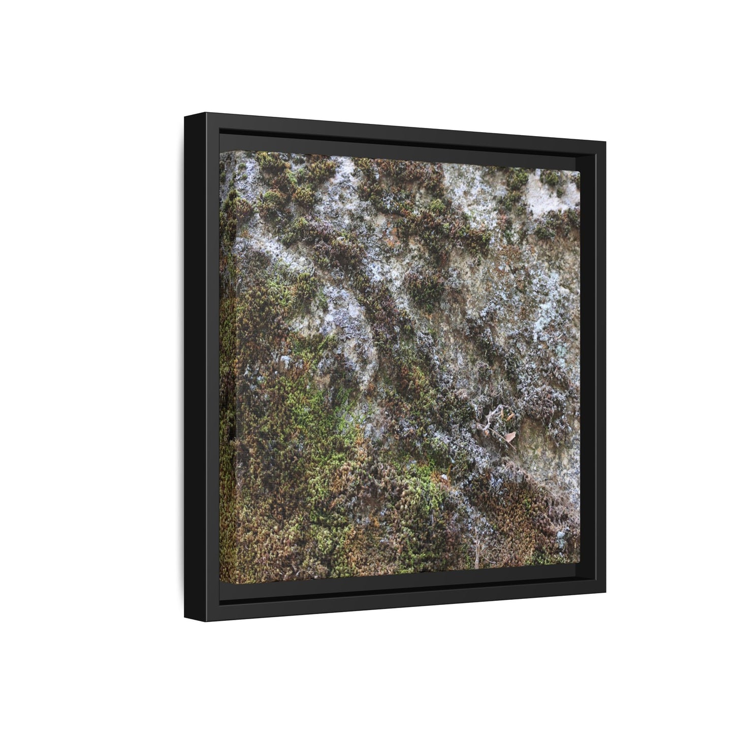 Mossy Whispers - Unique Stretched Canvas Wall Art