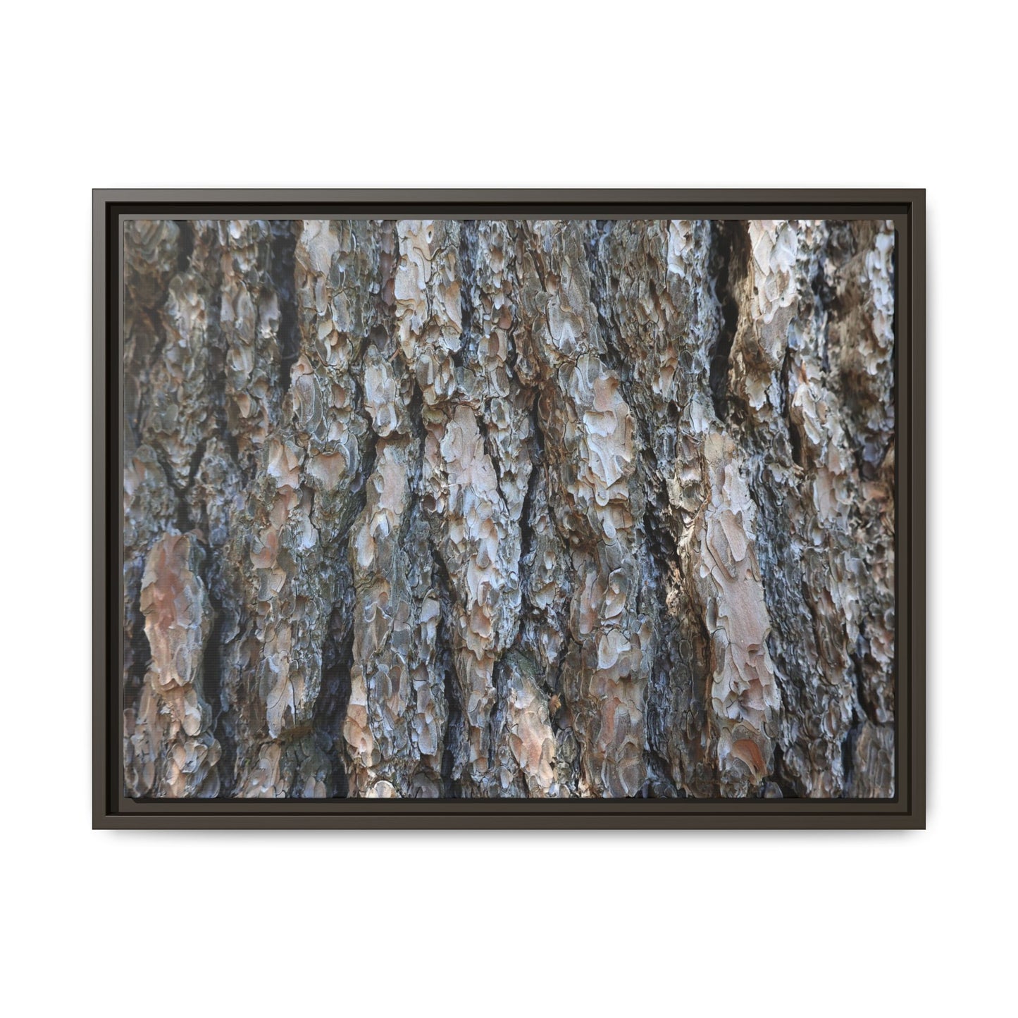 Bark Whispers - Unique Stretched Canvas Wall Art