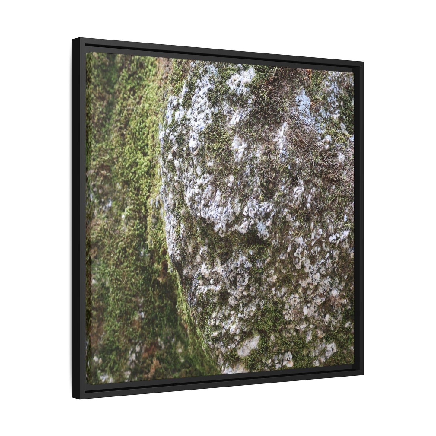 Lichen Landscape - Unique Stretched Canvas Wall Art
