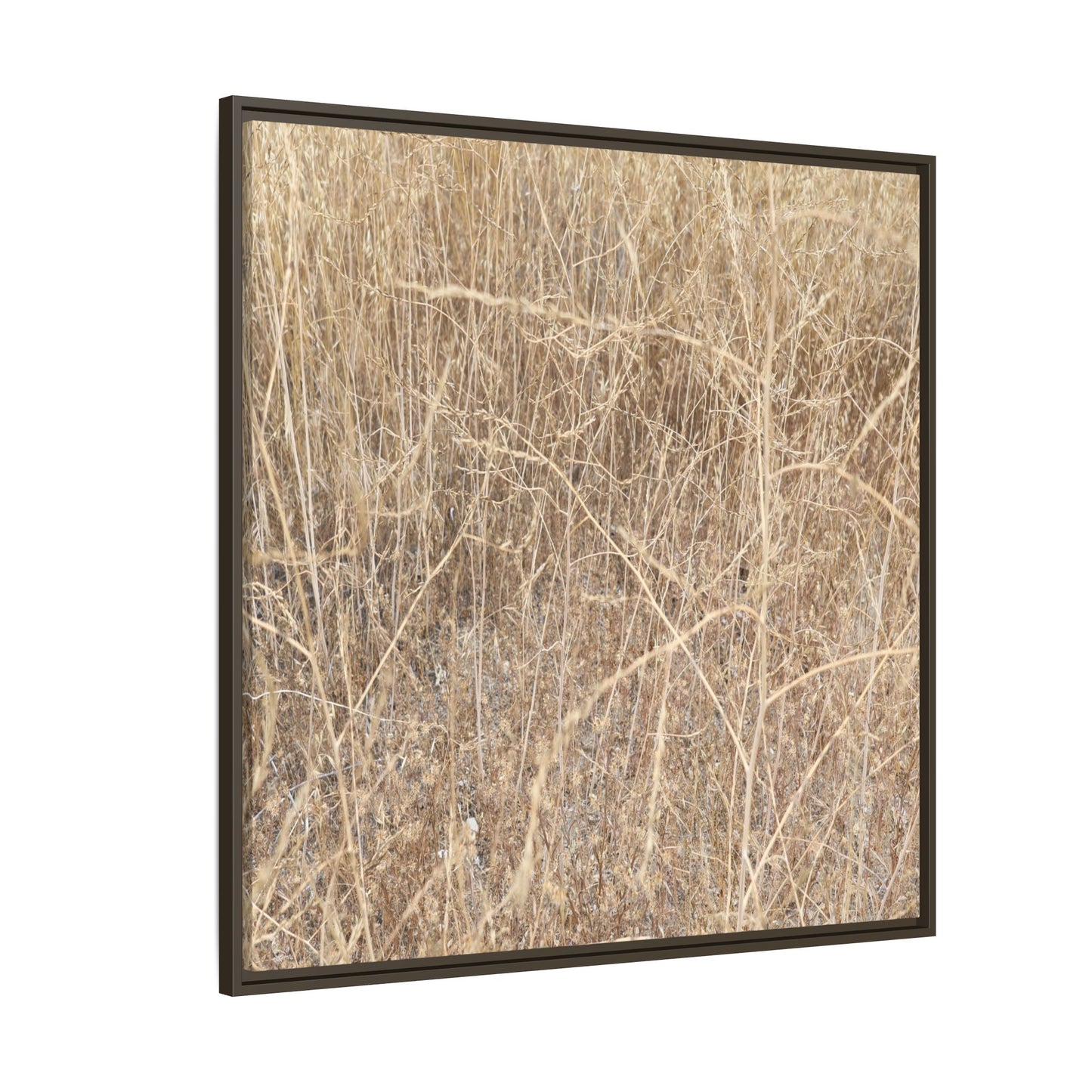 Golden Stalks - Unique Stretched Canvas Wall Art