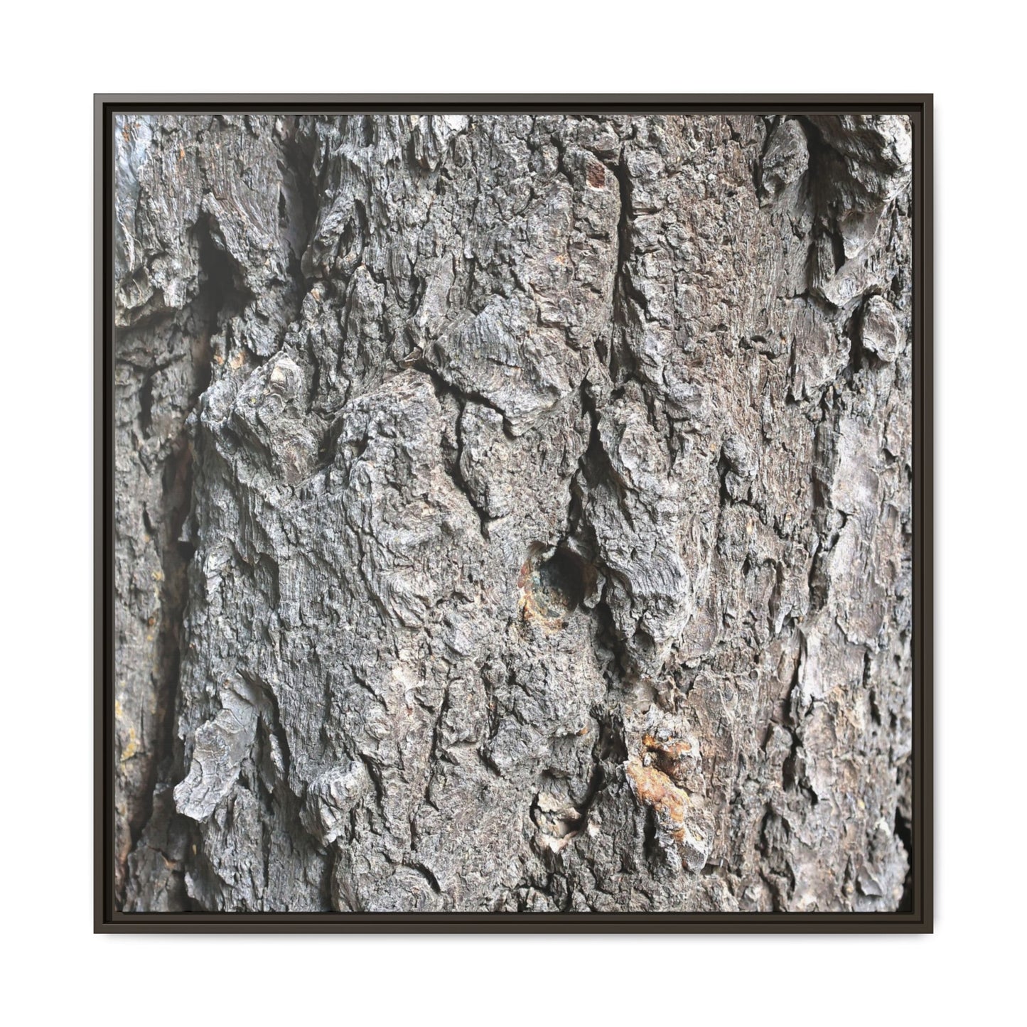 Crusty Exterior - Unique Stretched Canvas Wall Art