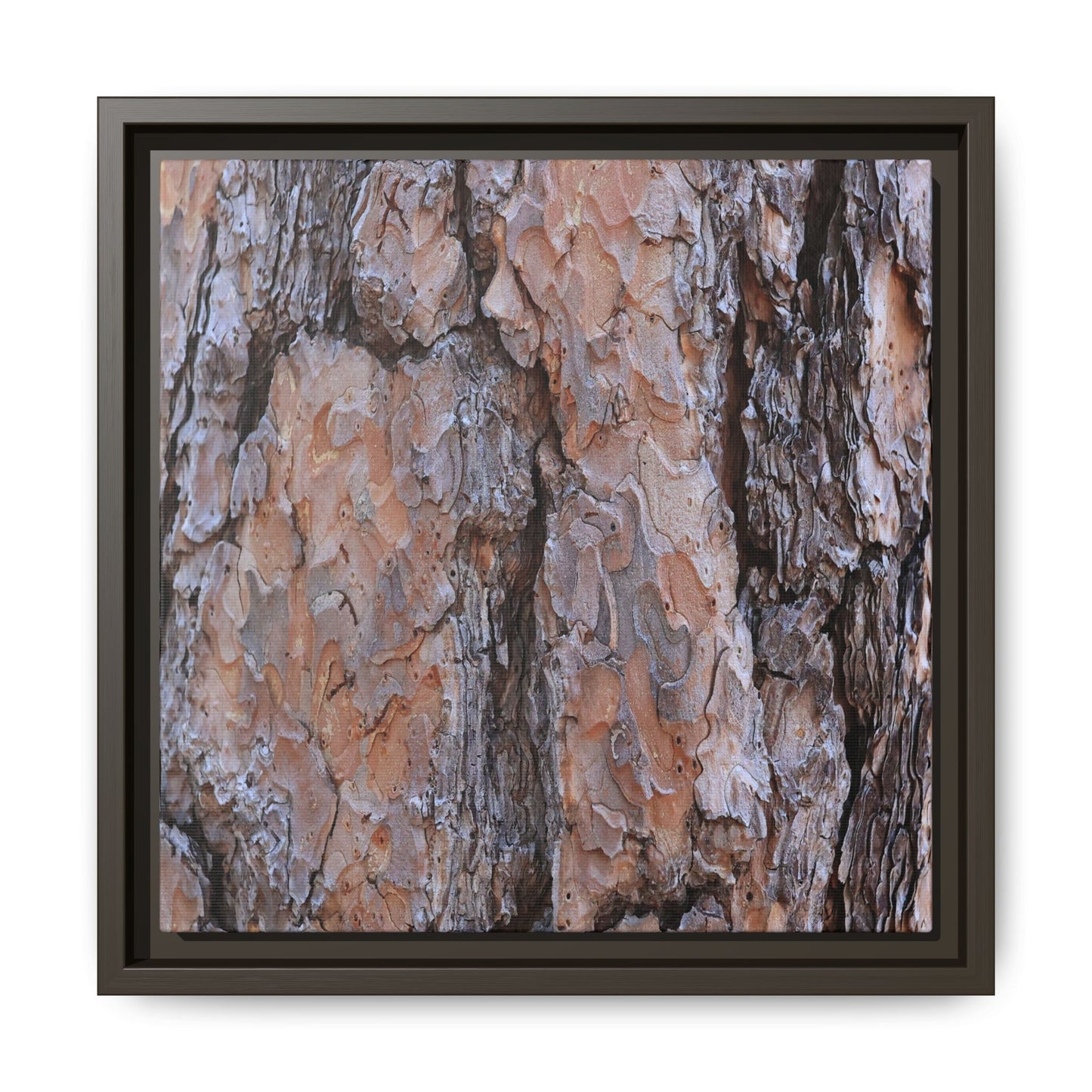 Tree Skin Symphony - Unique Stretched Canvas Wall Art