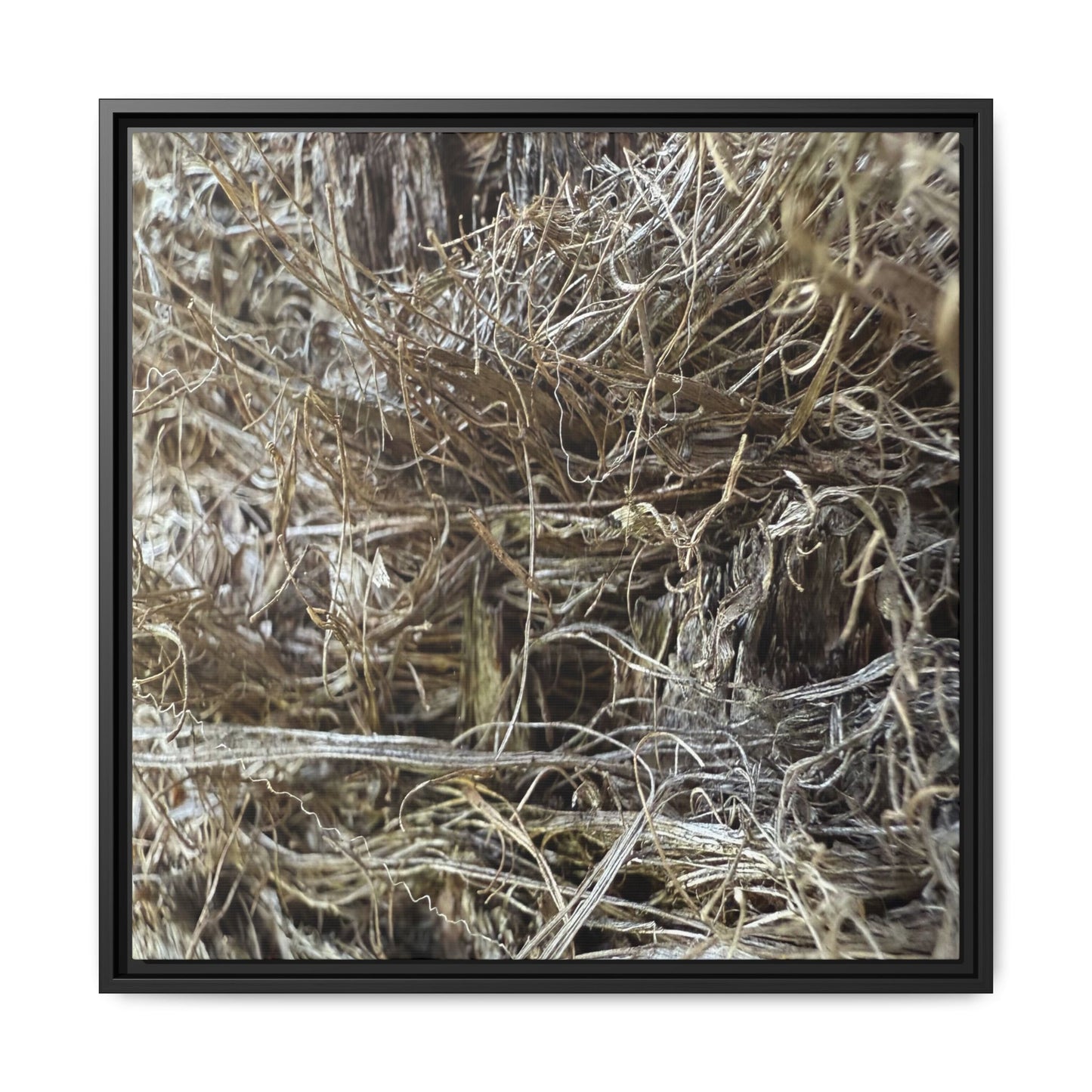 Tangled Whispers of Autumn - Unique Stretched Canvas Wall Art
