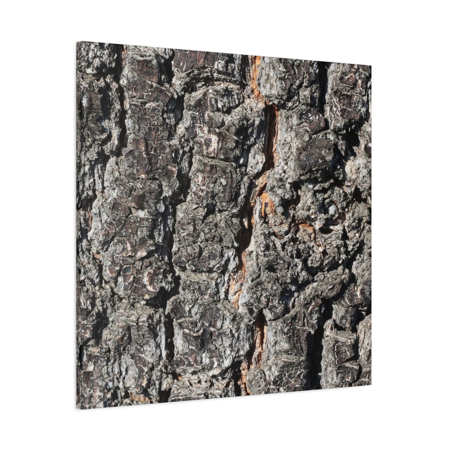 Arboreal Skin - Unique Frameless Canvas Wall Art