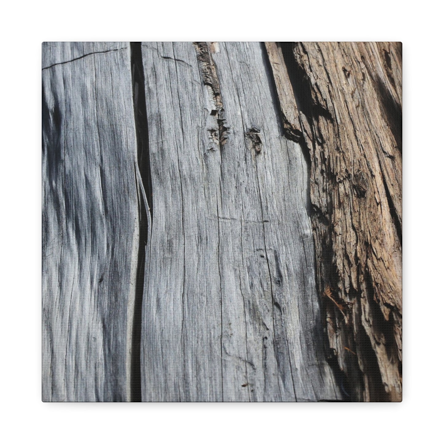 Fracture Lines - Unique Frameless Canvas Wall Art