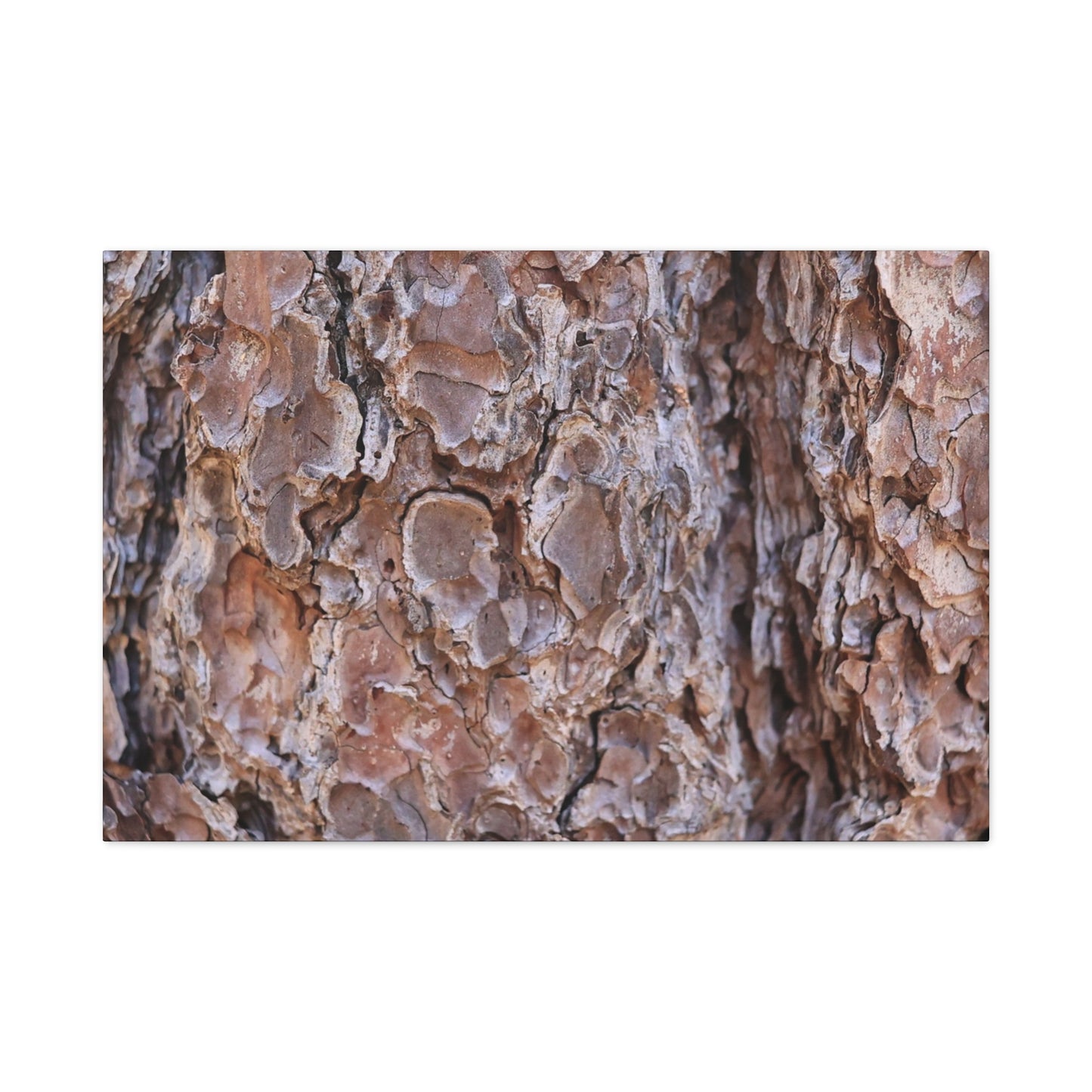 Rugged Bark Landscape - Unique Frameless Canvas Wall Art