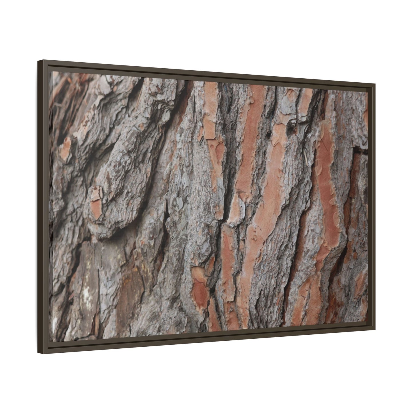 Woodland Layers - Unique Stretched Canvas Wall Art