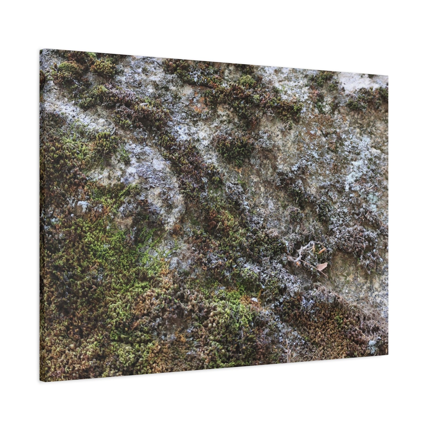 Moss Tapestry - Unique Frameless Canvas Wall Art