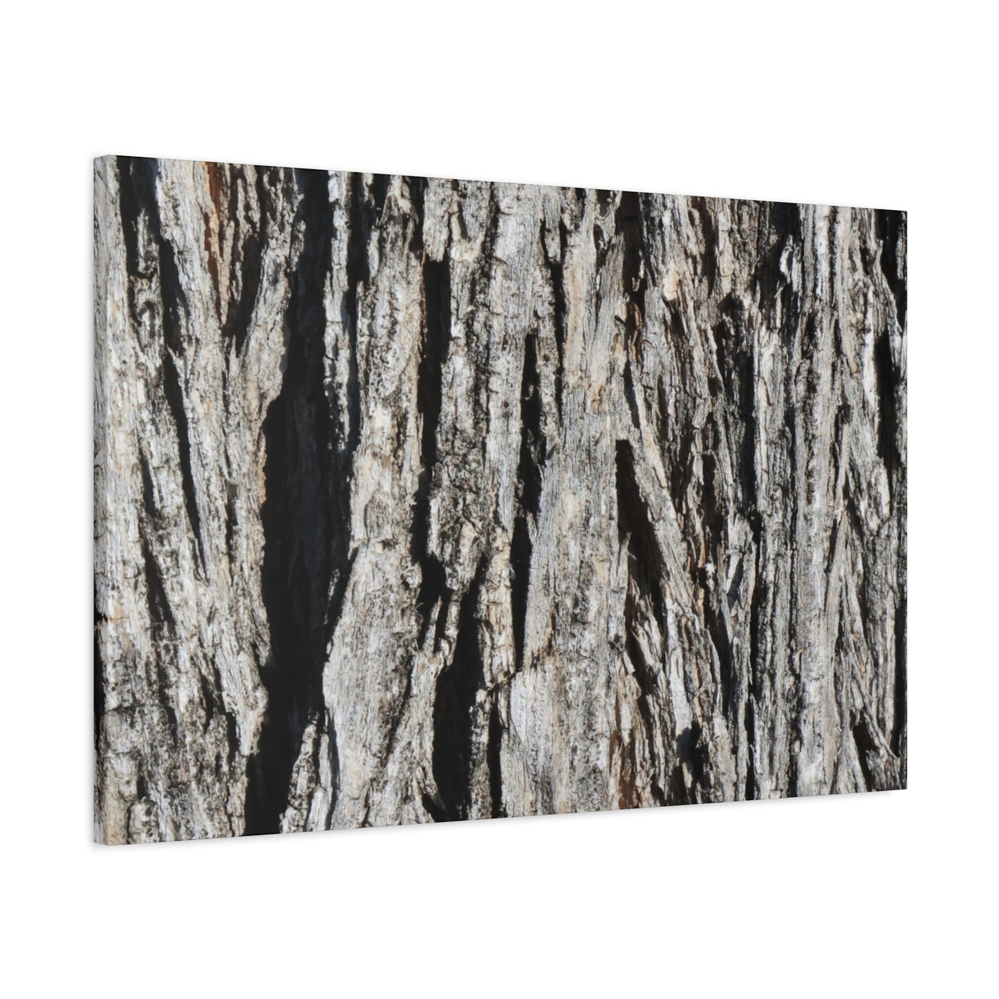 Bark Layers in Monochrome - Unique Frameless Canvas Wall Art