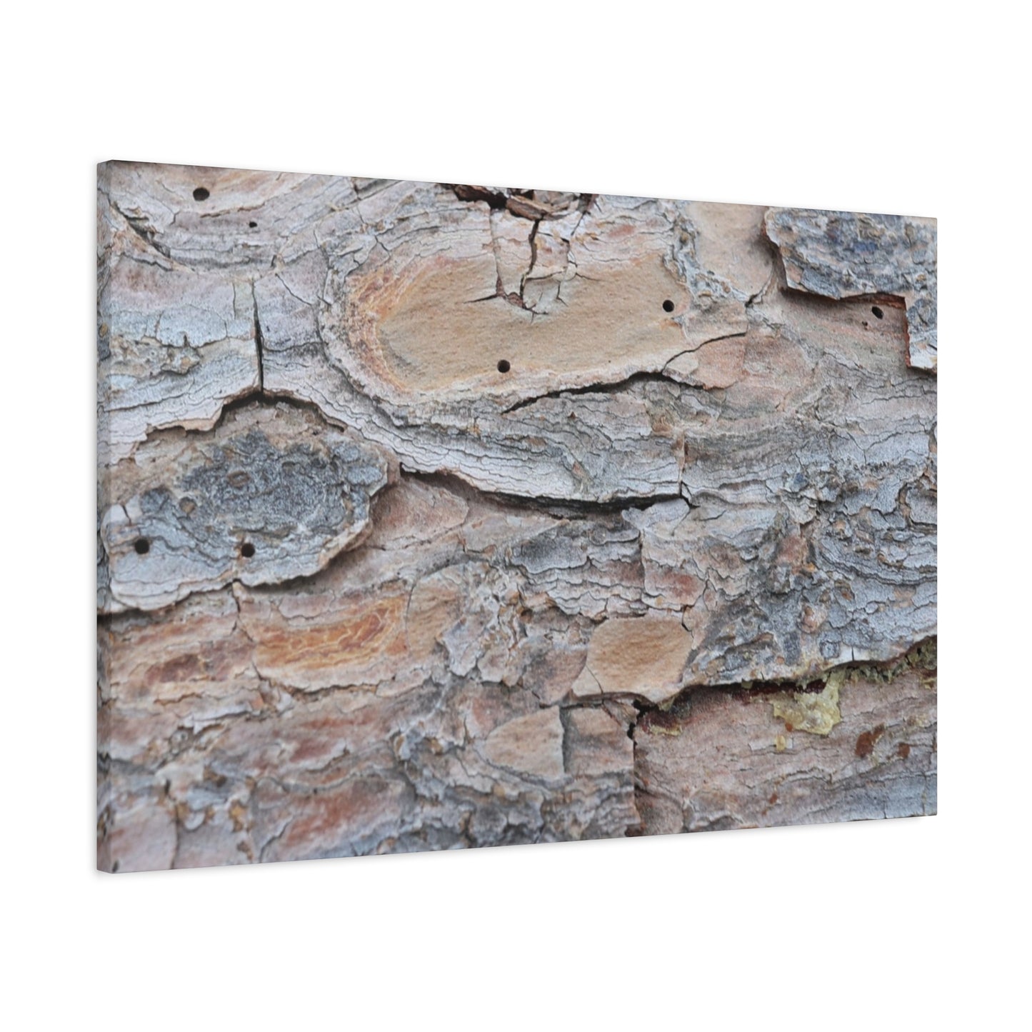 Textural Geology - Unique Frameless Canvas Wall Art