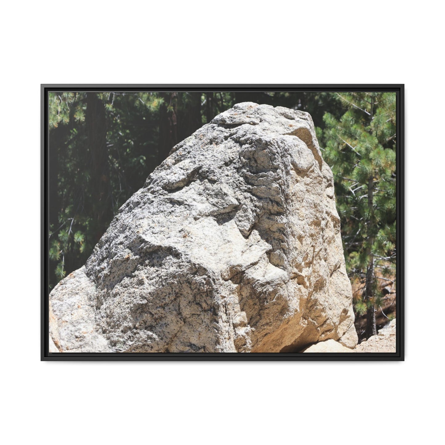 Stone's Silent Whisper - Unique Stretched Canvas Wall Art