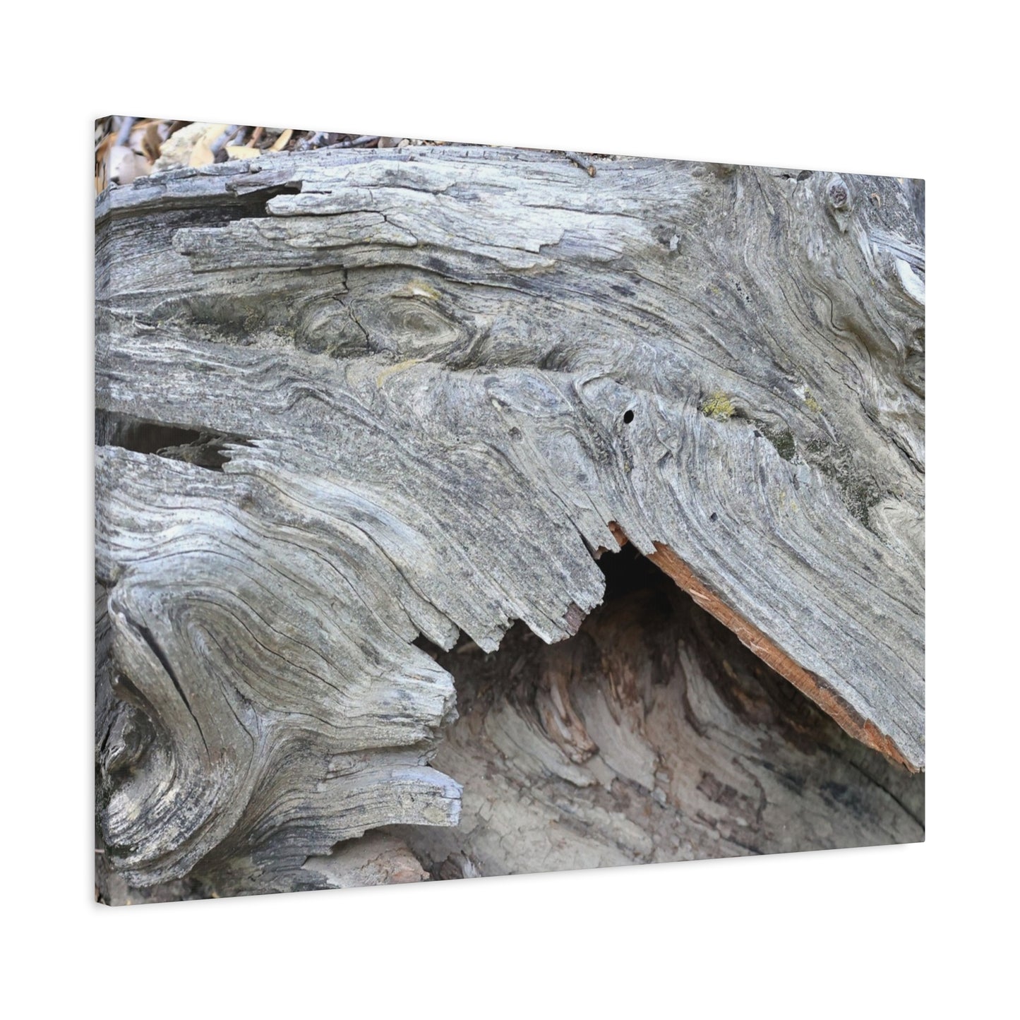 Whispers of Ancient Wood - Unique Frameless Canvas Wall Art