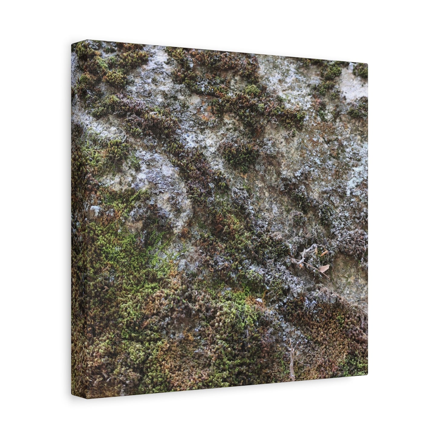 Moss Tapestry - Unique Frameless Canvas Wall Art