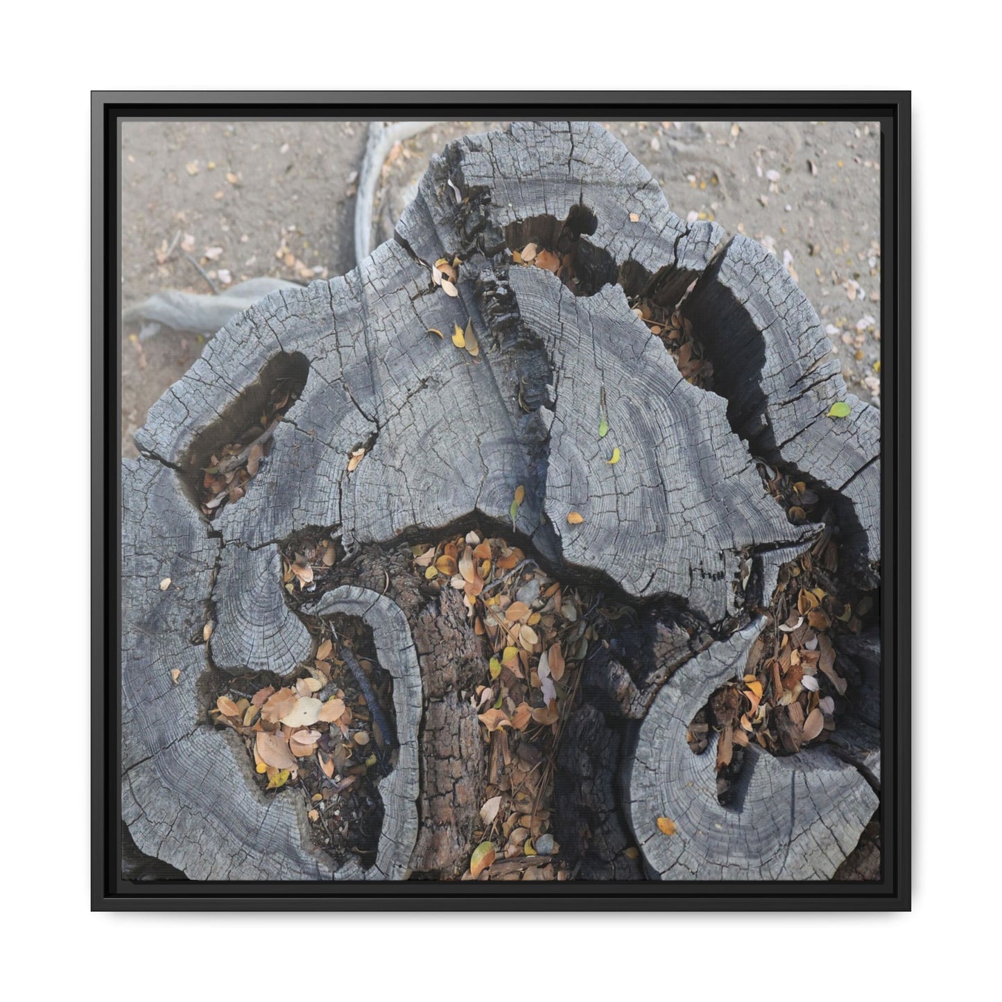 Time's Fractal Memory - Unique Stretched Canvas Wall Art