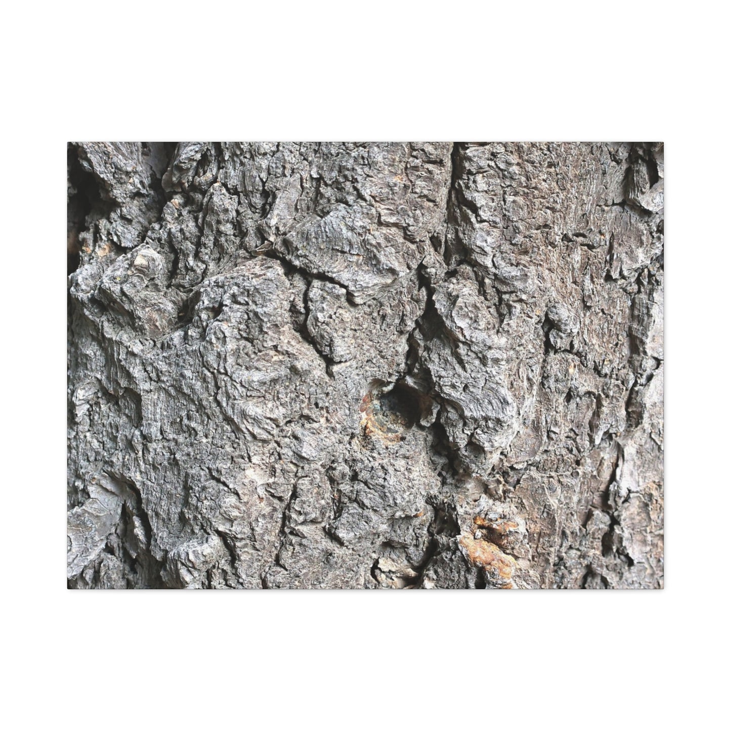Elemental Canvas - Unique Frameless Canvas Wall Art