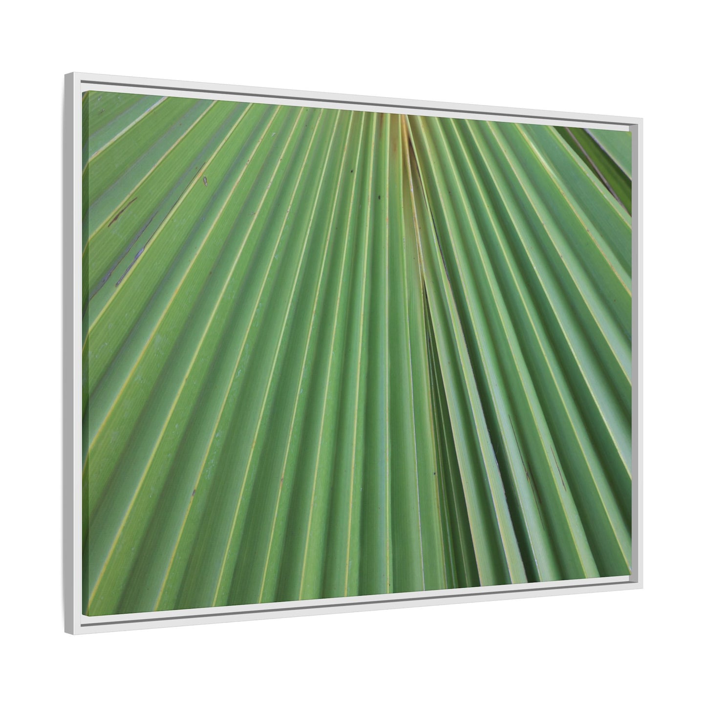 Verdant Veins - Unique Stretched Canvas Wall Art