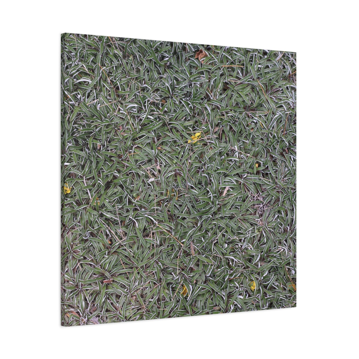 Tangled Memories - Unique Frameless Canvas Wall Art