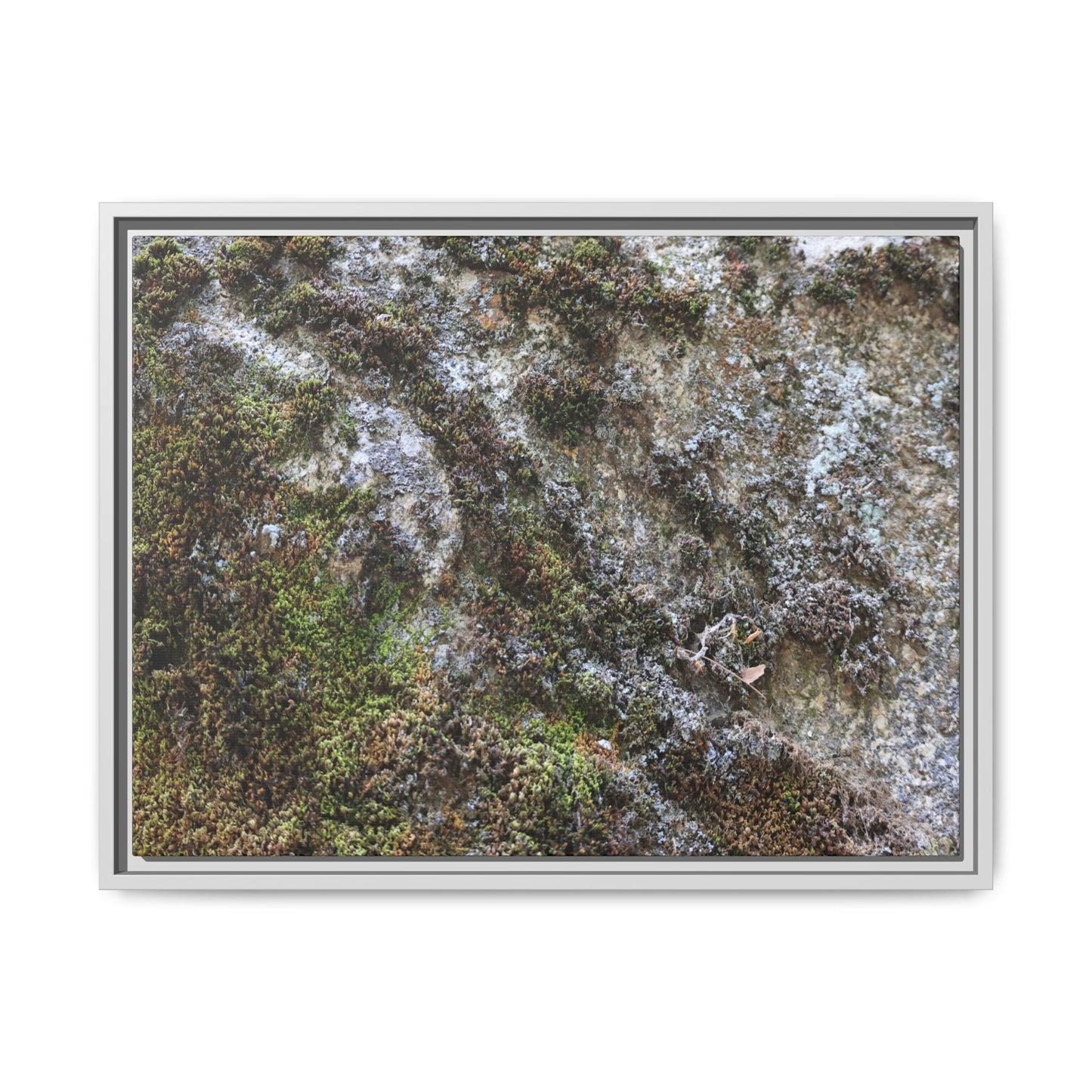 Mossy Whispers - Unique Stretched Canvas Wall Art