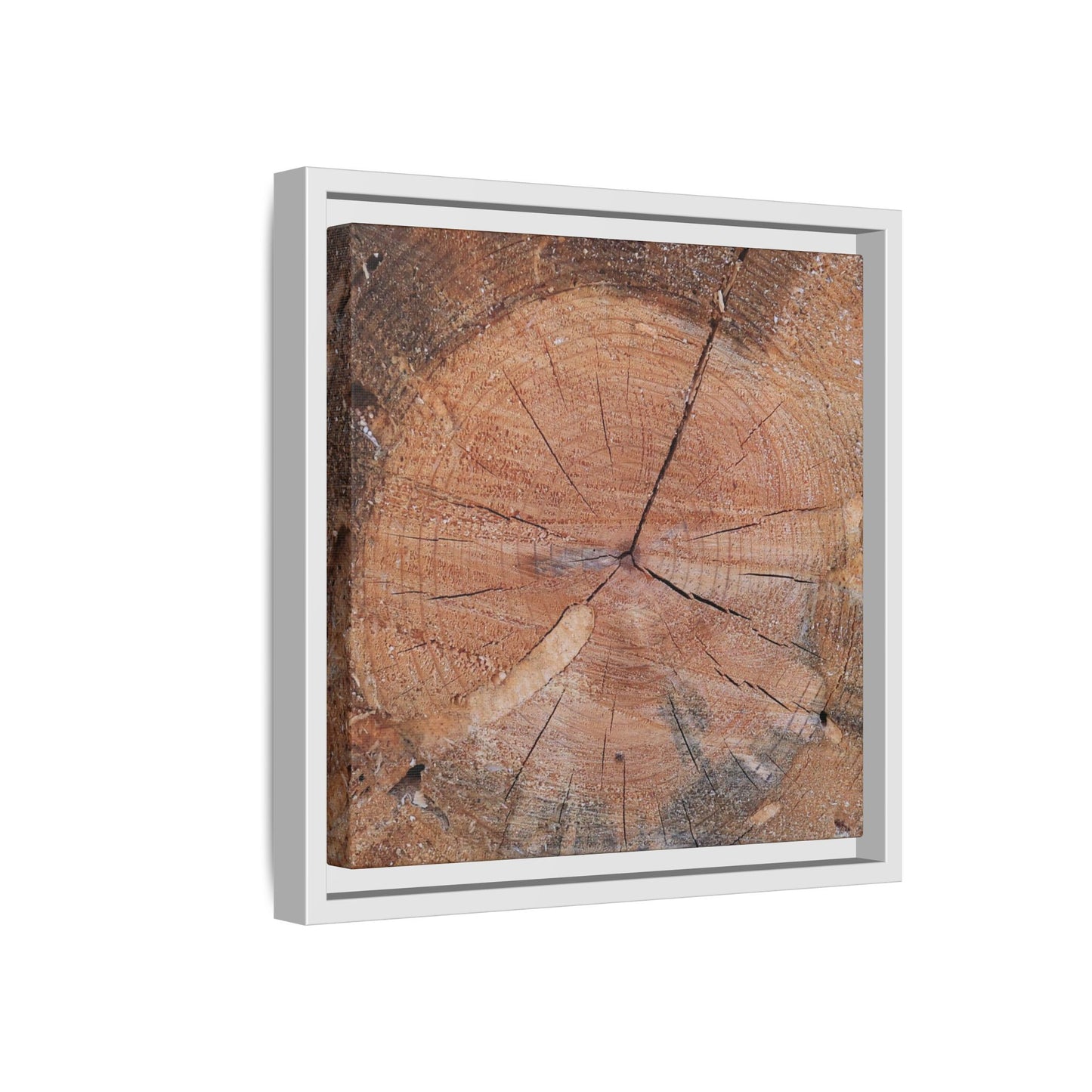 Concentric Memories - Unique Stretched Canvas Wall Art
