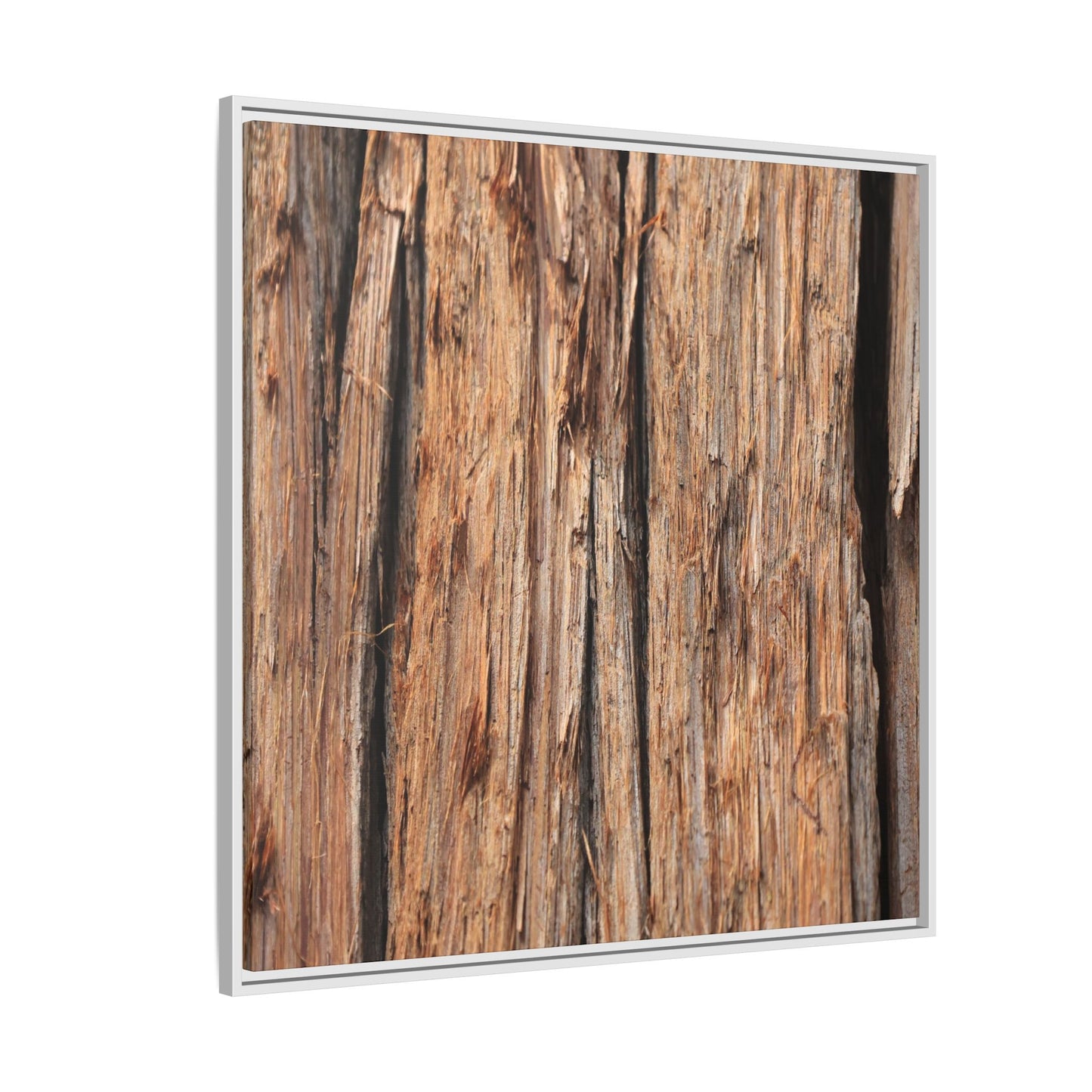 Timber Echoes - Unique Stretched Canvas Wall Art