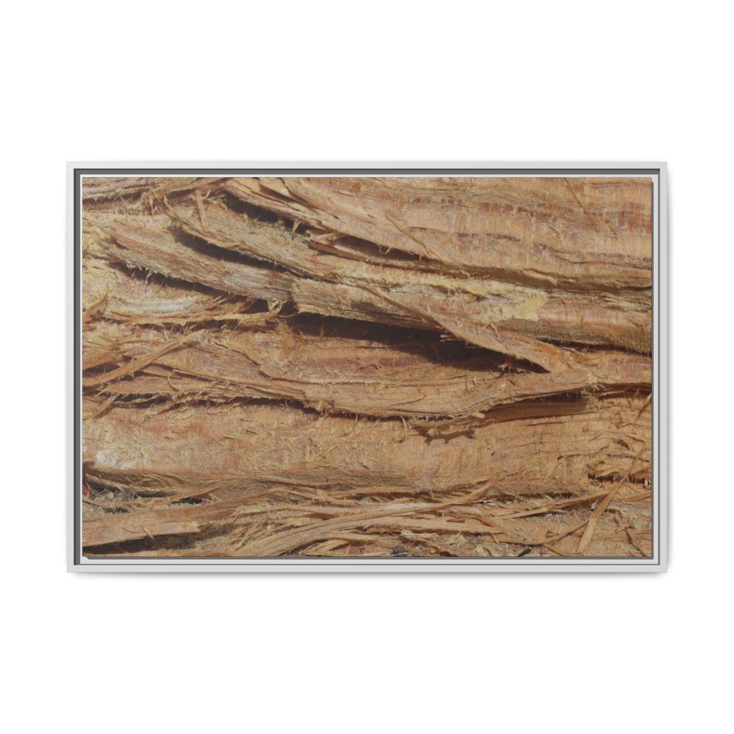 Splintered Bark - Unique Stretched Canvas Wall Art