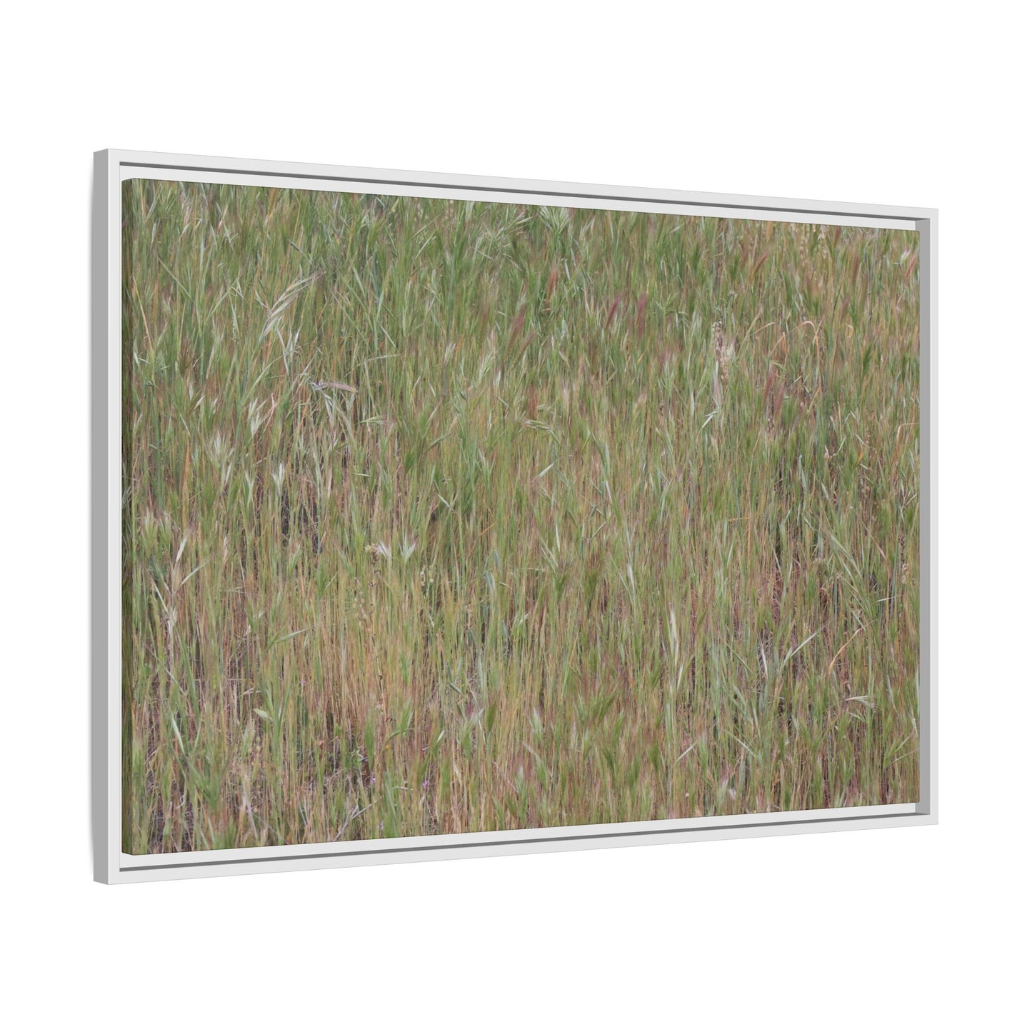 Field of Dreams - Unique Stretched Canvas Wall Art