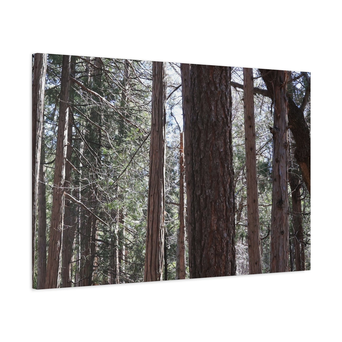 Vertical Sentinels - Unique Frameless Canvas Wall Art