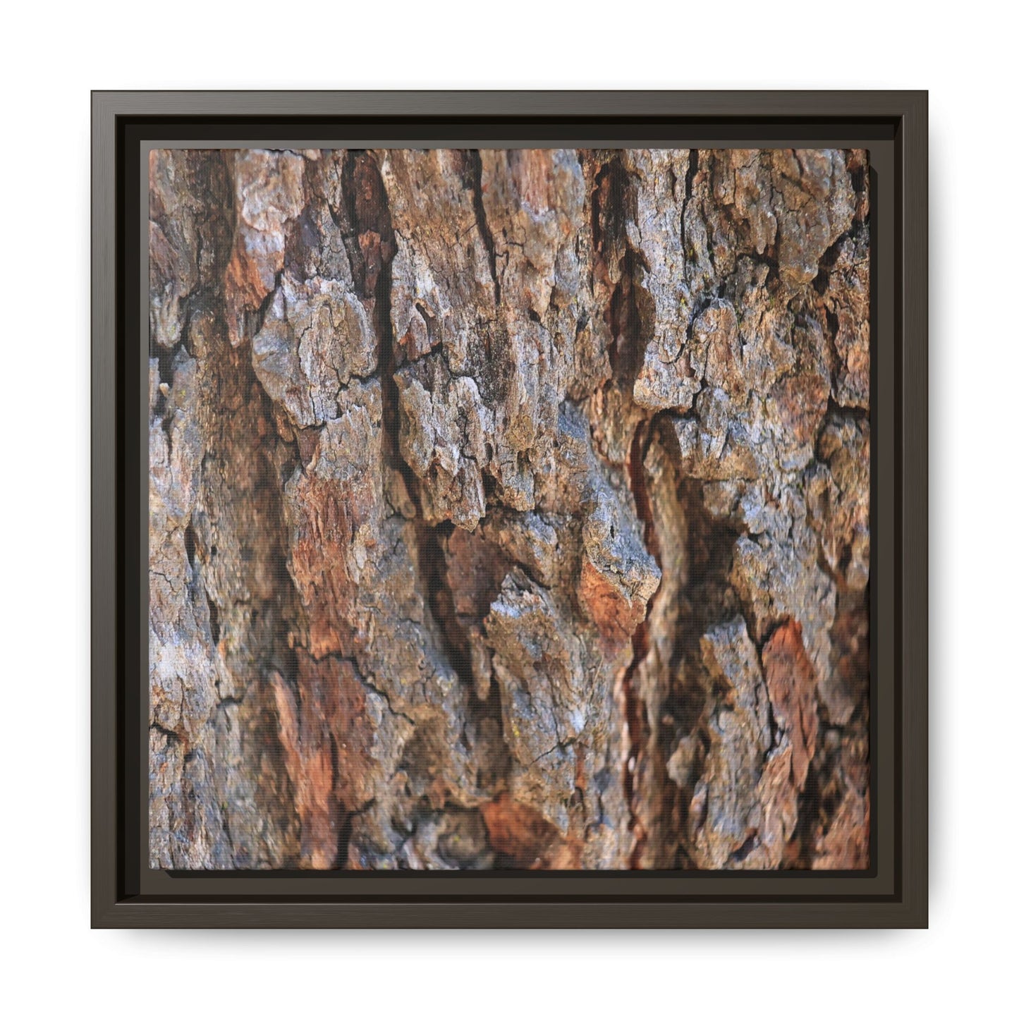 Craggy Textures - Unique Stretched Canvas Wall Art