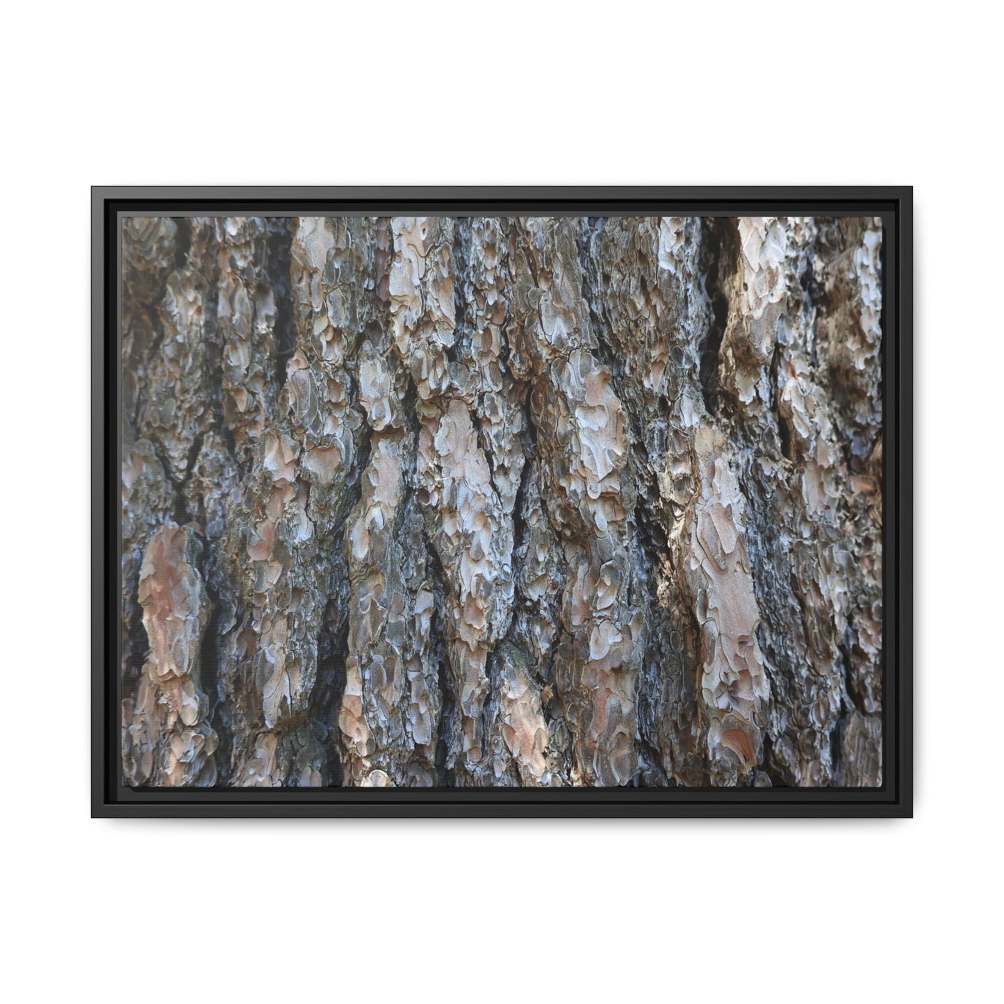 Bark Whispers - Unique Stretched Canvas Wall Art