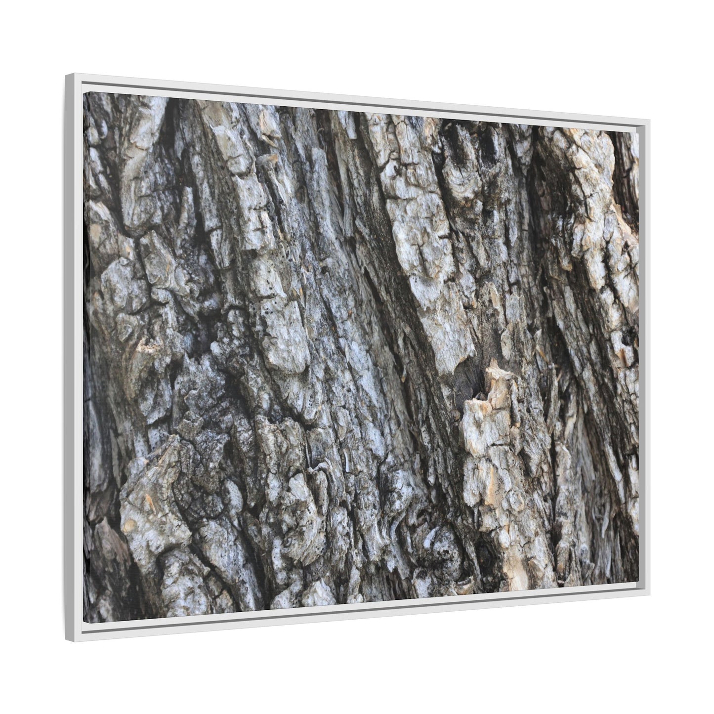 Twisted Textures - Unique Stretched Canvas Wall Art