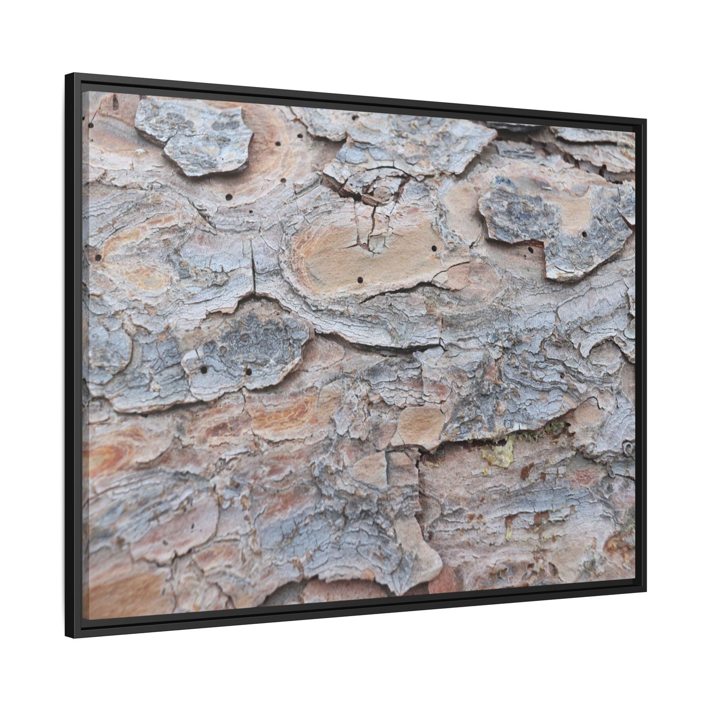 Peeling Memories - Unique Stretched Canvas Wall Art