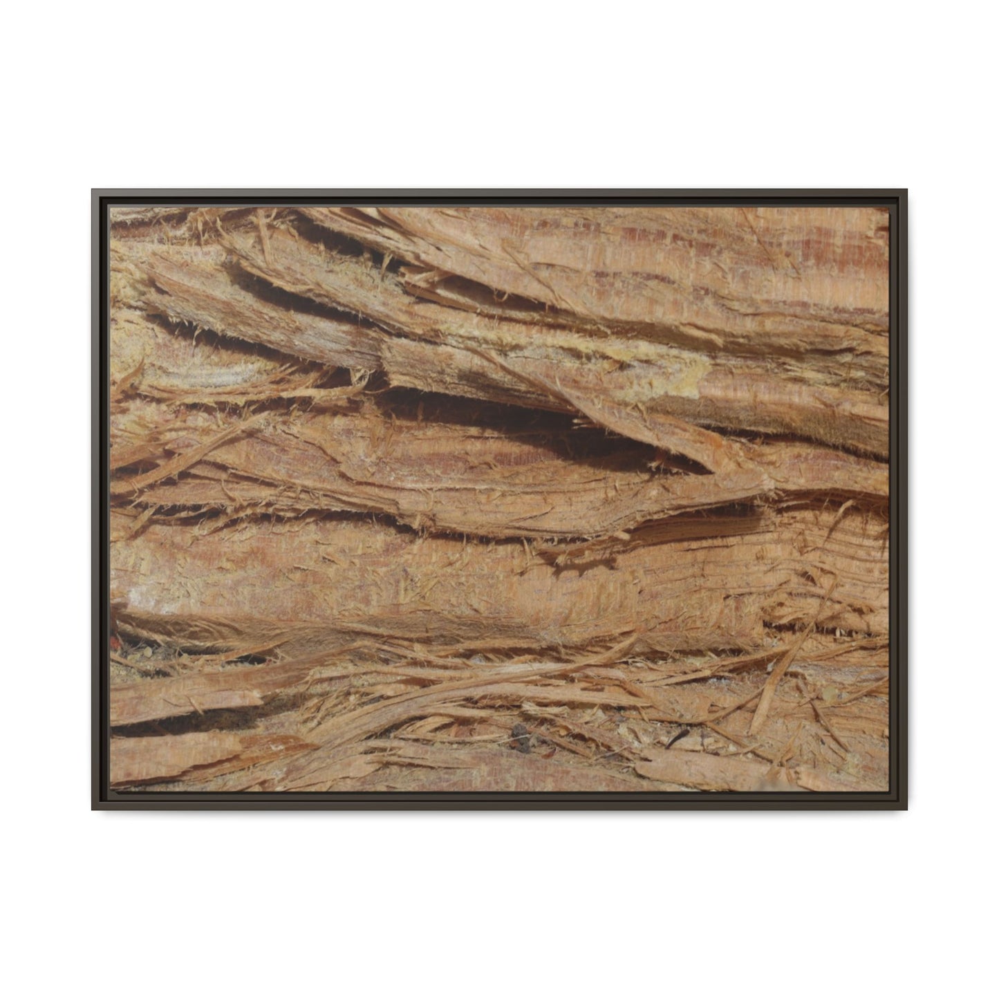 Splintered Bark - Unique Stretched Canvas Wall Art