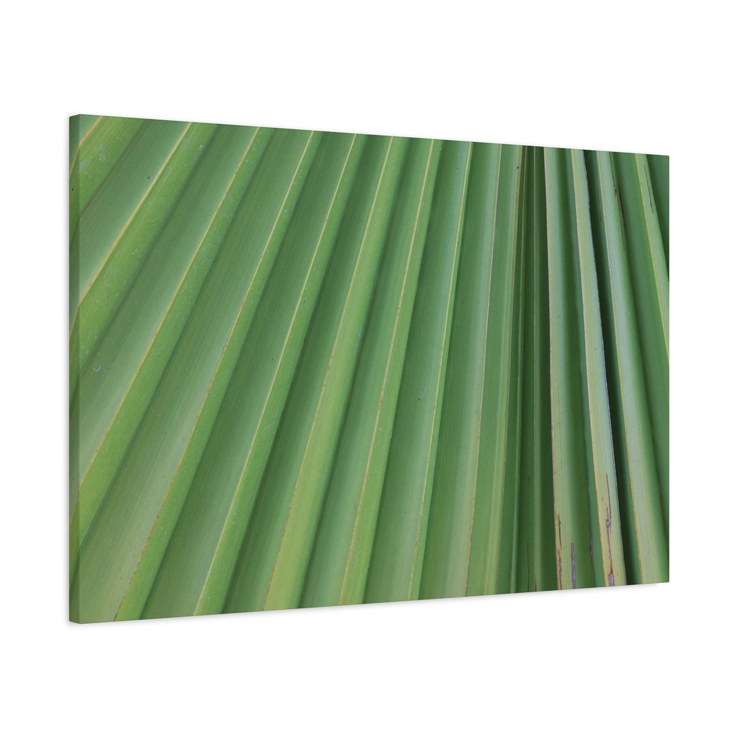 Palm Pulse - Unique Frameless Canvas Wall Art