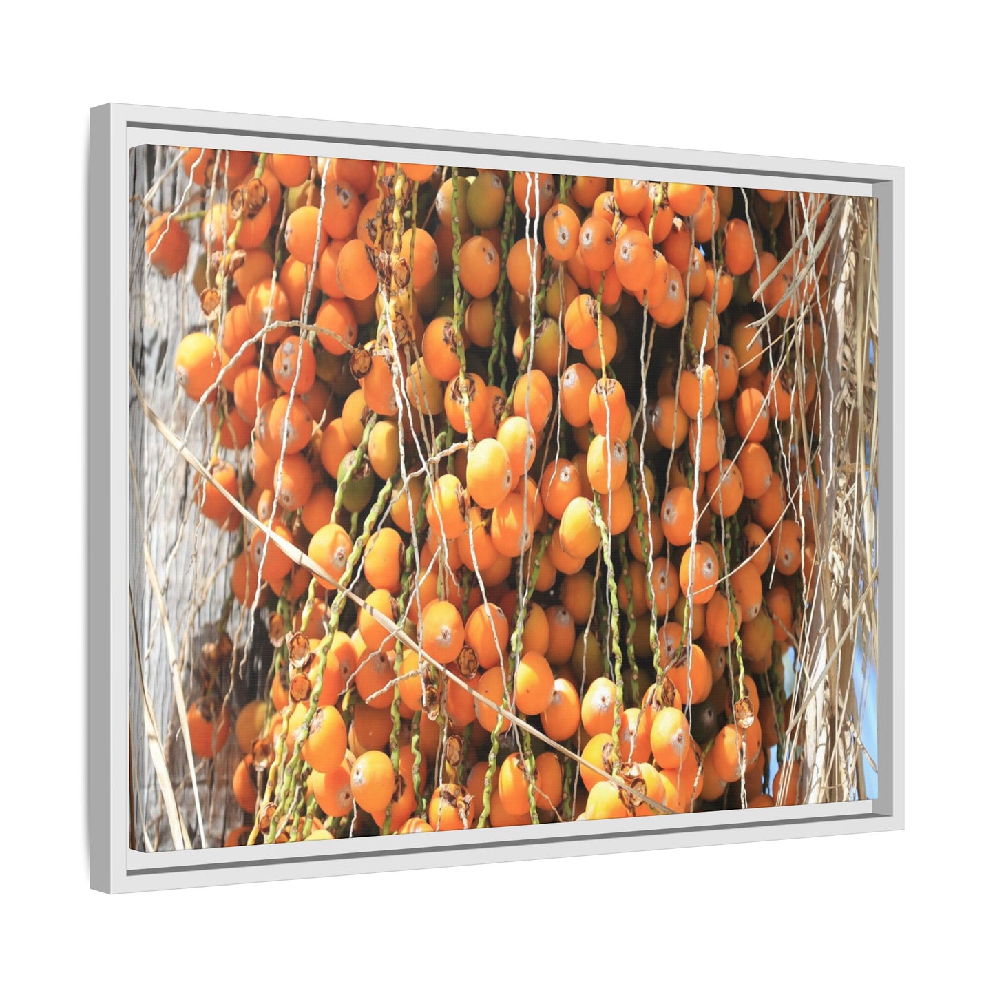 Clusters of Sunlight - Unique Canvas Wall Art