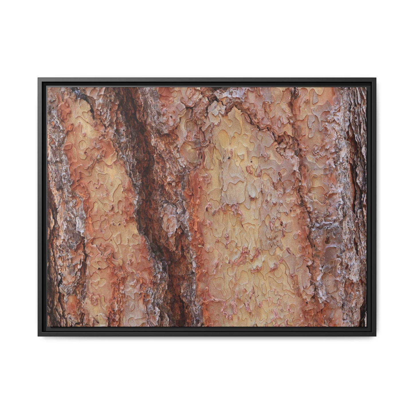 Rustic Rhythms - Unique Stretched Canvas Wall Art
