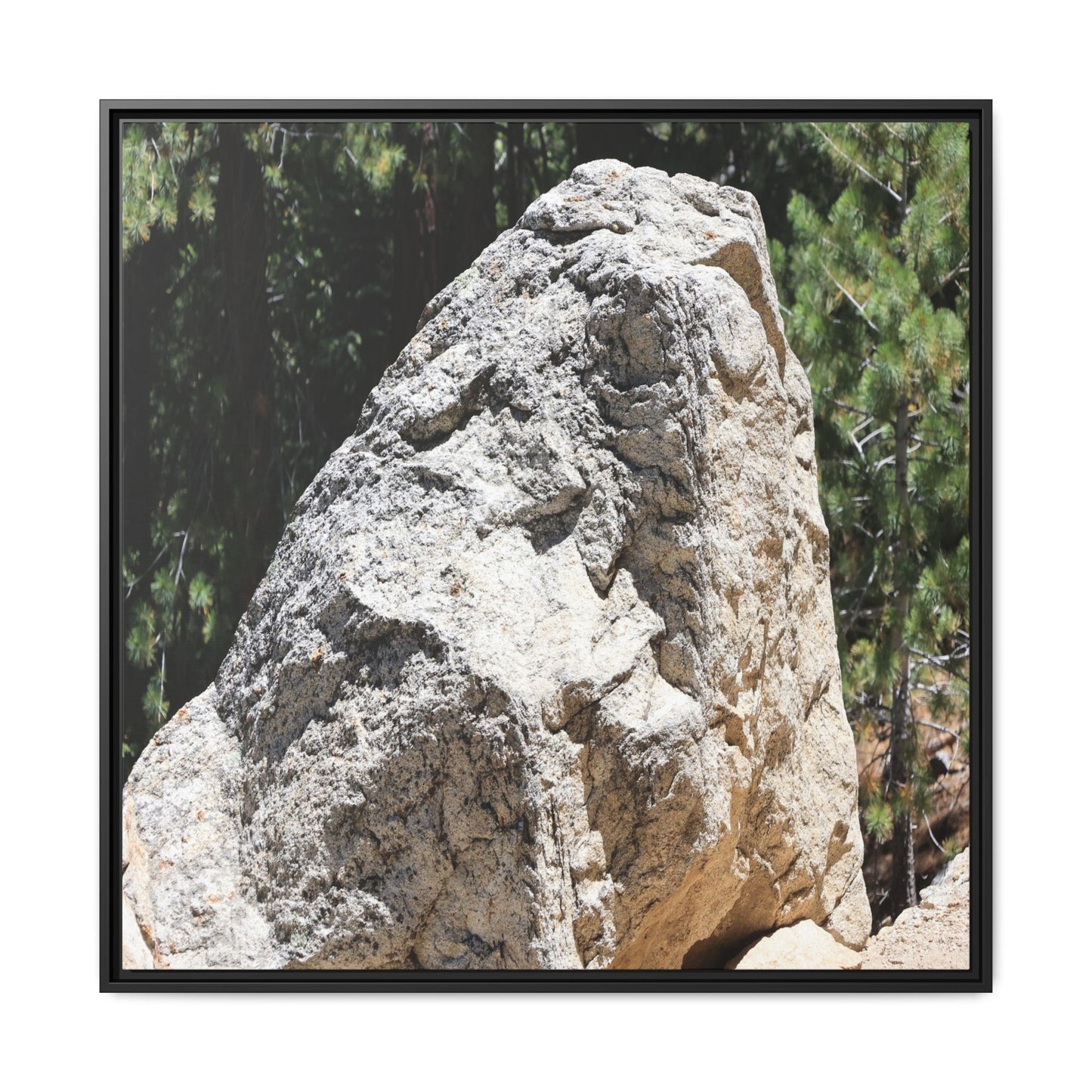 Stone's Silent Whisper - Unique Stretched Canvas Wall Art