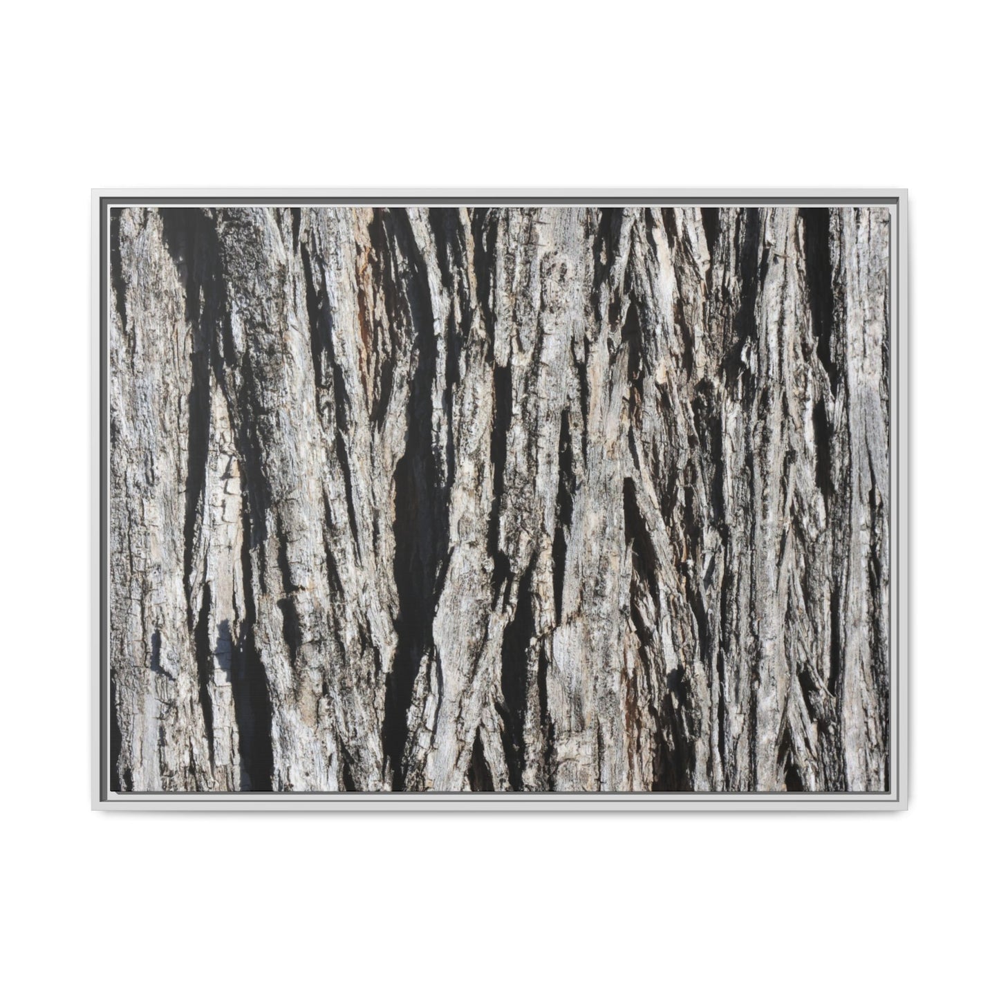 Bark Lines - Unique Stretched Canvas Wall Art