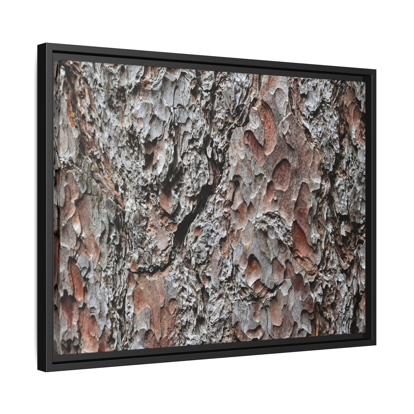 Bark Texture Symphony - Unique Stretched Canvas Wall Art