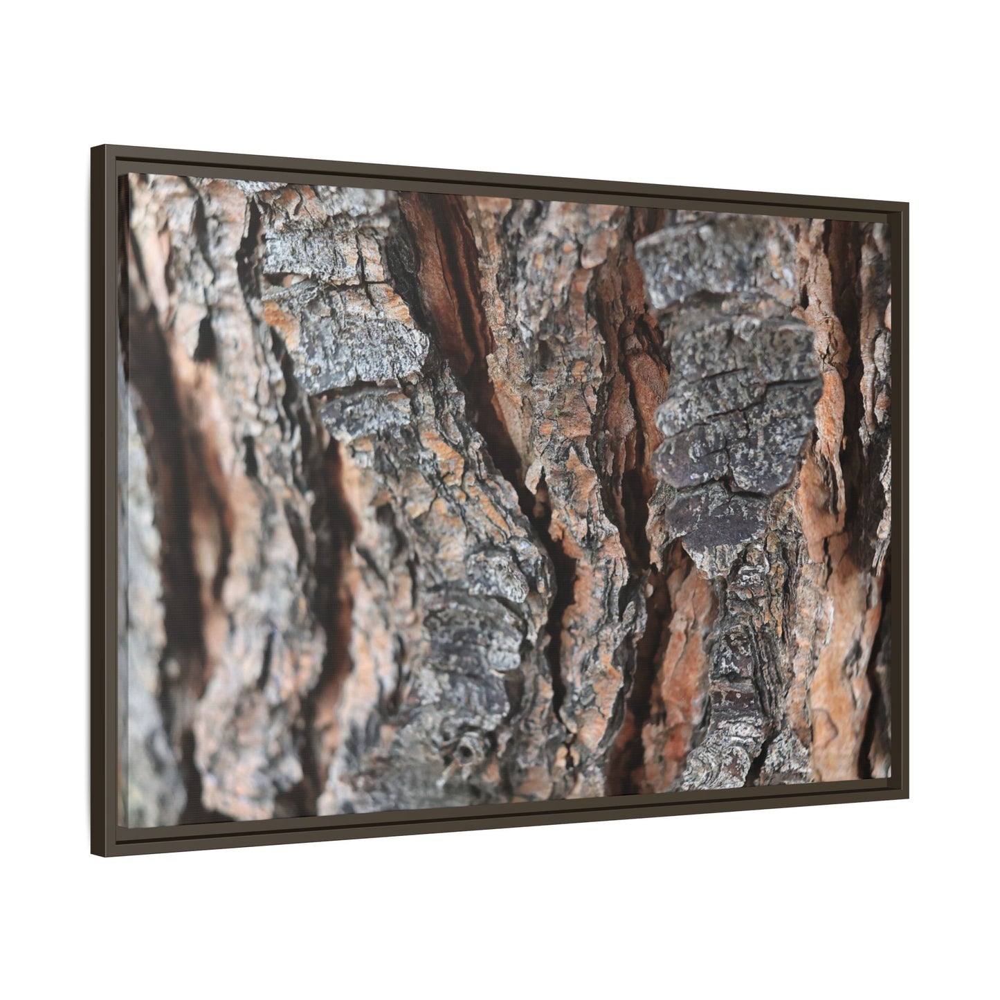Fractured Nature - Unique Stretched Canvas Wall Art