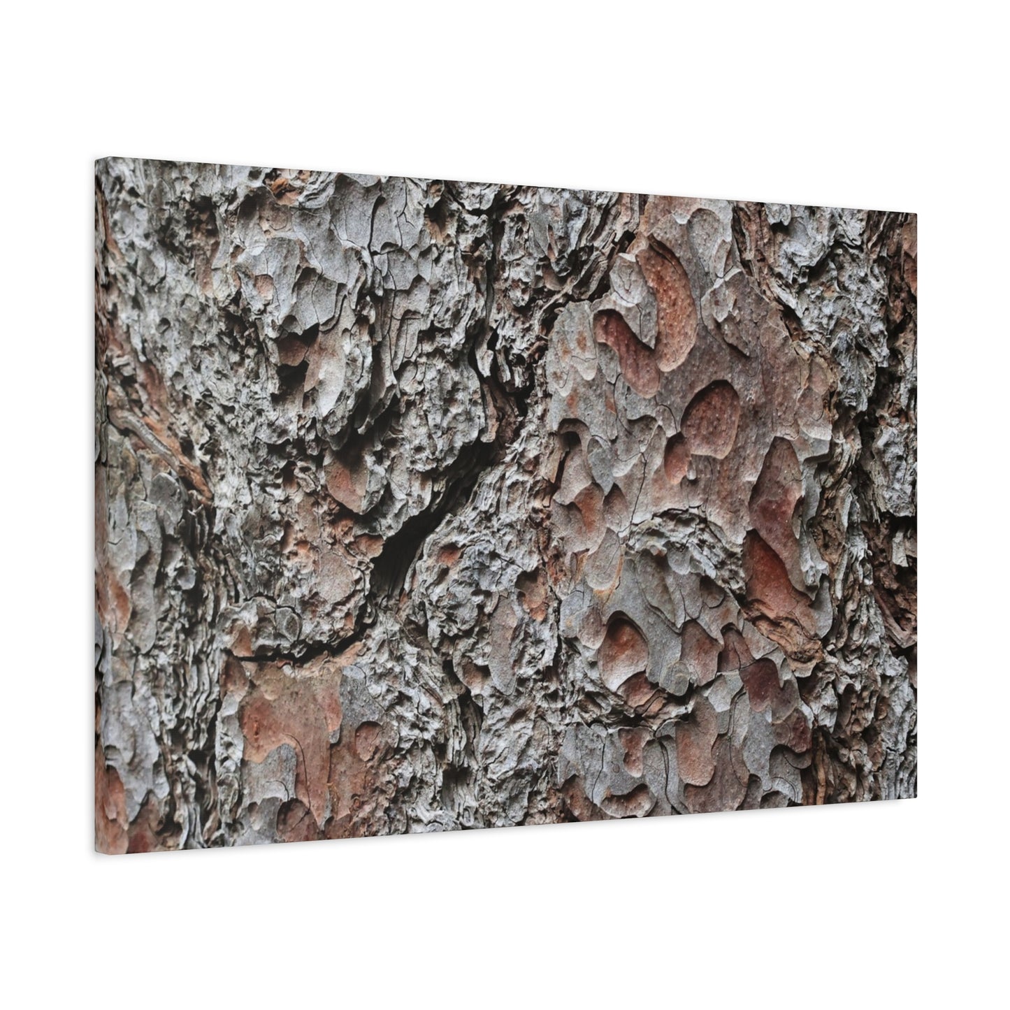 Textured Whispers of Bark - Unique Frameless Canvas Wall Art