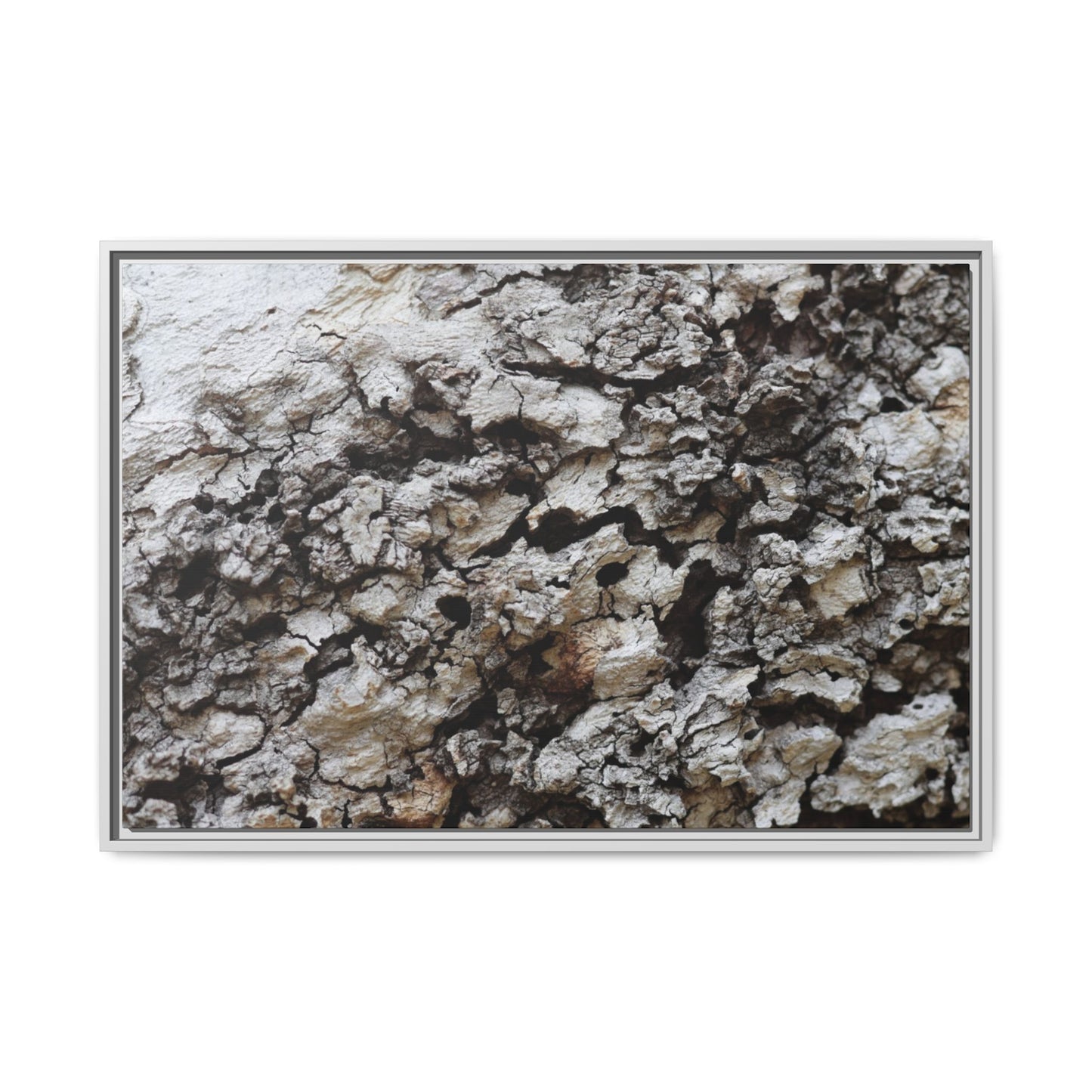 Cracked Terrain - Unique Stretched Canvas Wall Art