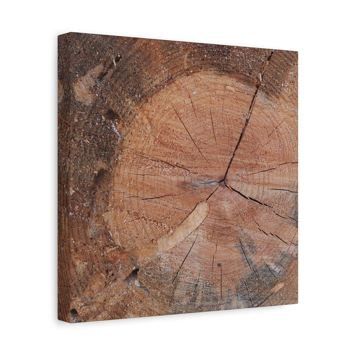 Timber Tale - Unique Frameless Canvas Wall Art