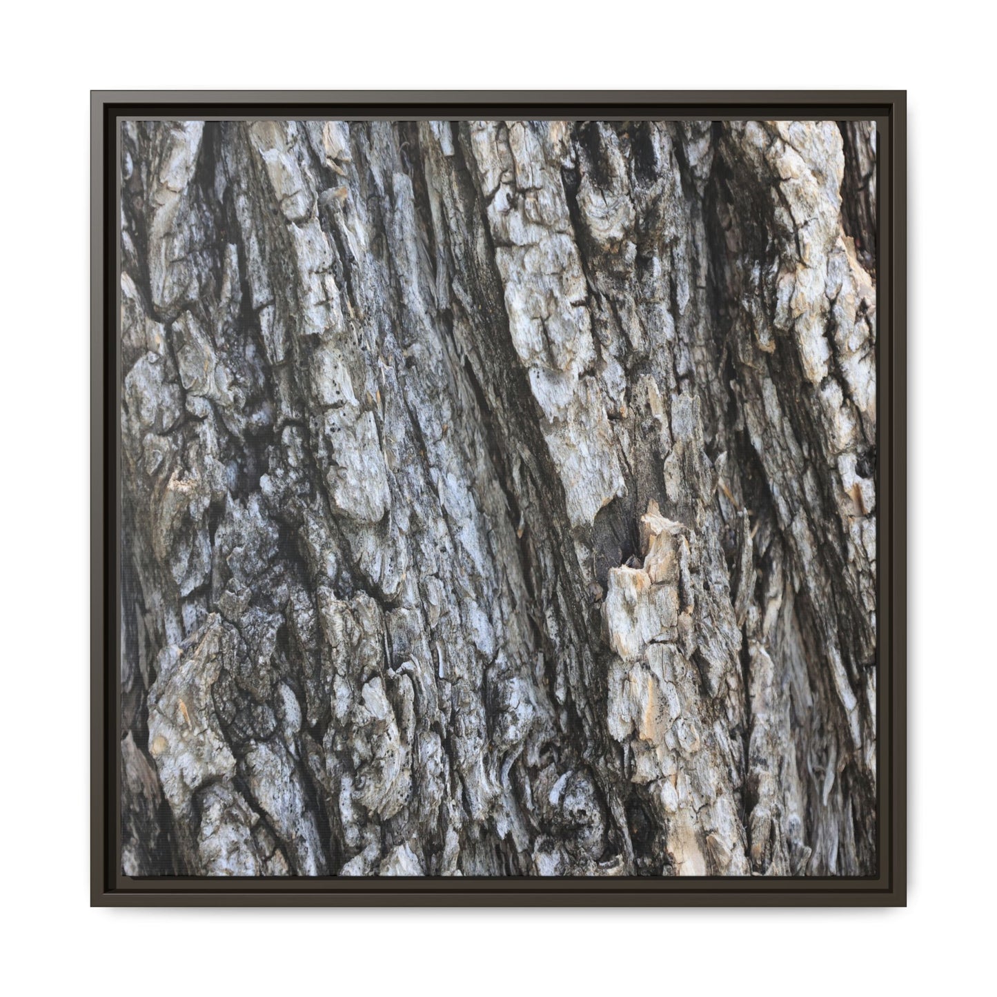 Twisted Textures - Unique Stretched Canvas Wall Art