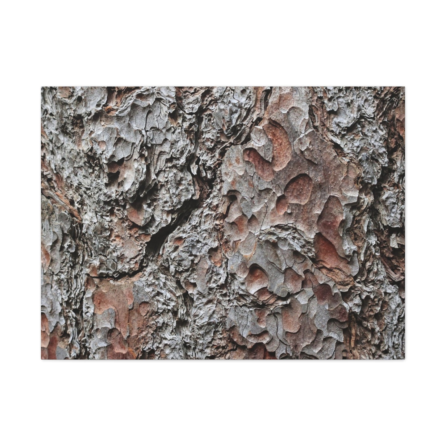 Textured Whispers of Bark - Unique Frameless Canvas Wall Art