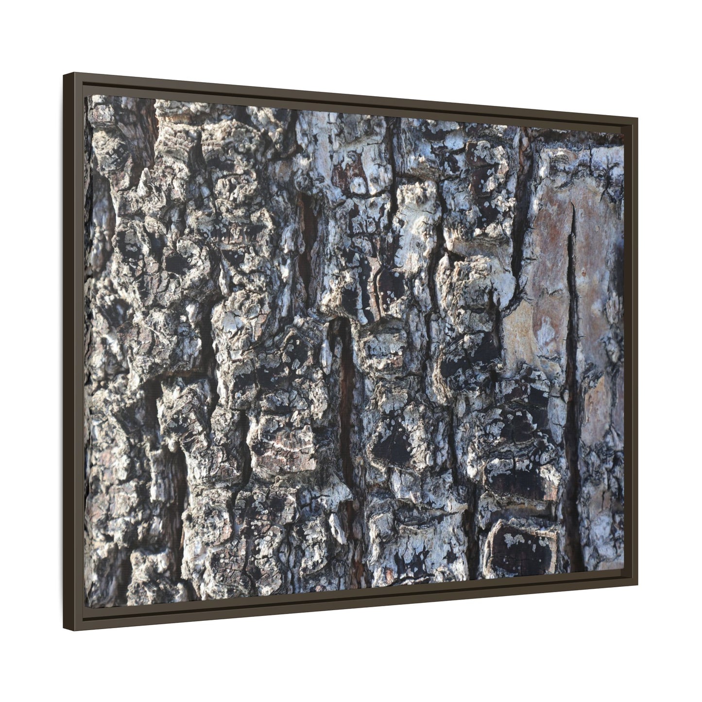 The Bark Chronicles - Unique Stretched Canvas Wall Art